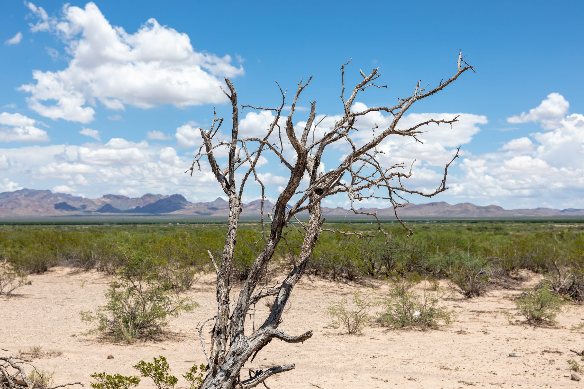 Horizon’s Edge Tract 1 photo 2