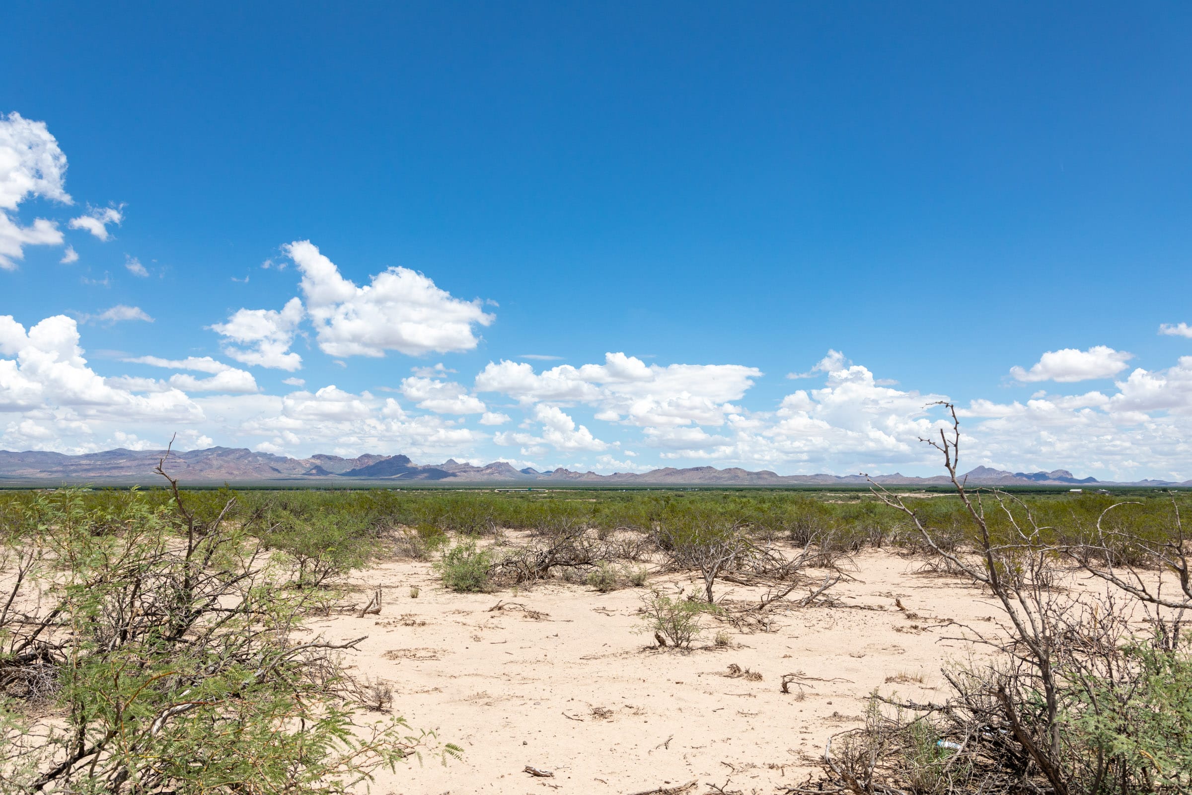 Horizon’s Edge Tract 1 photo 5