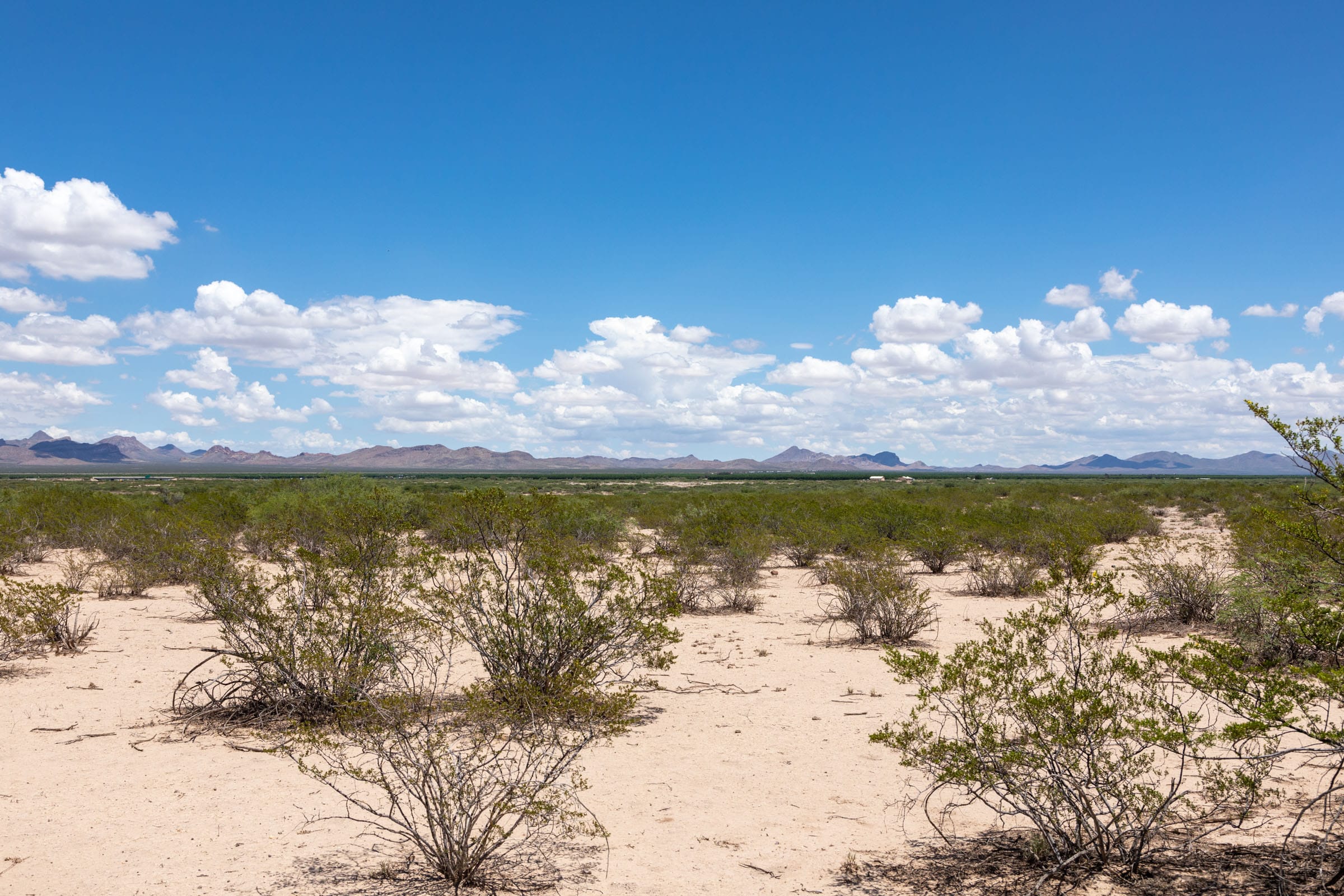 Horizon’s Edge Tract 1 photo 8