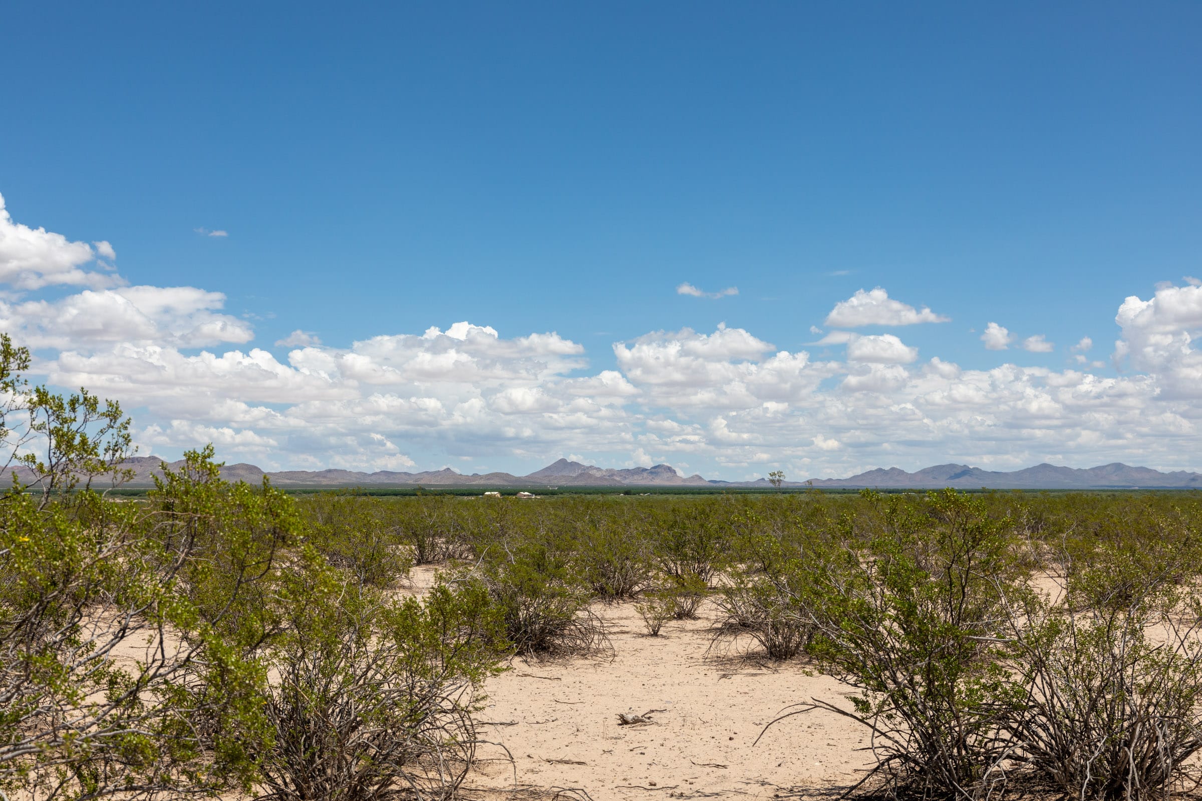 Horizon’s Edge Tract 1 photo 12