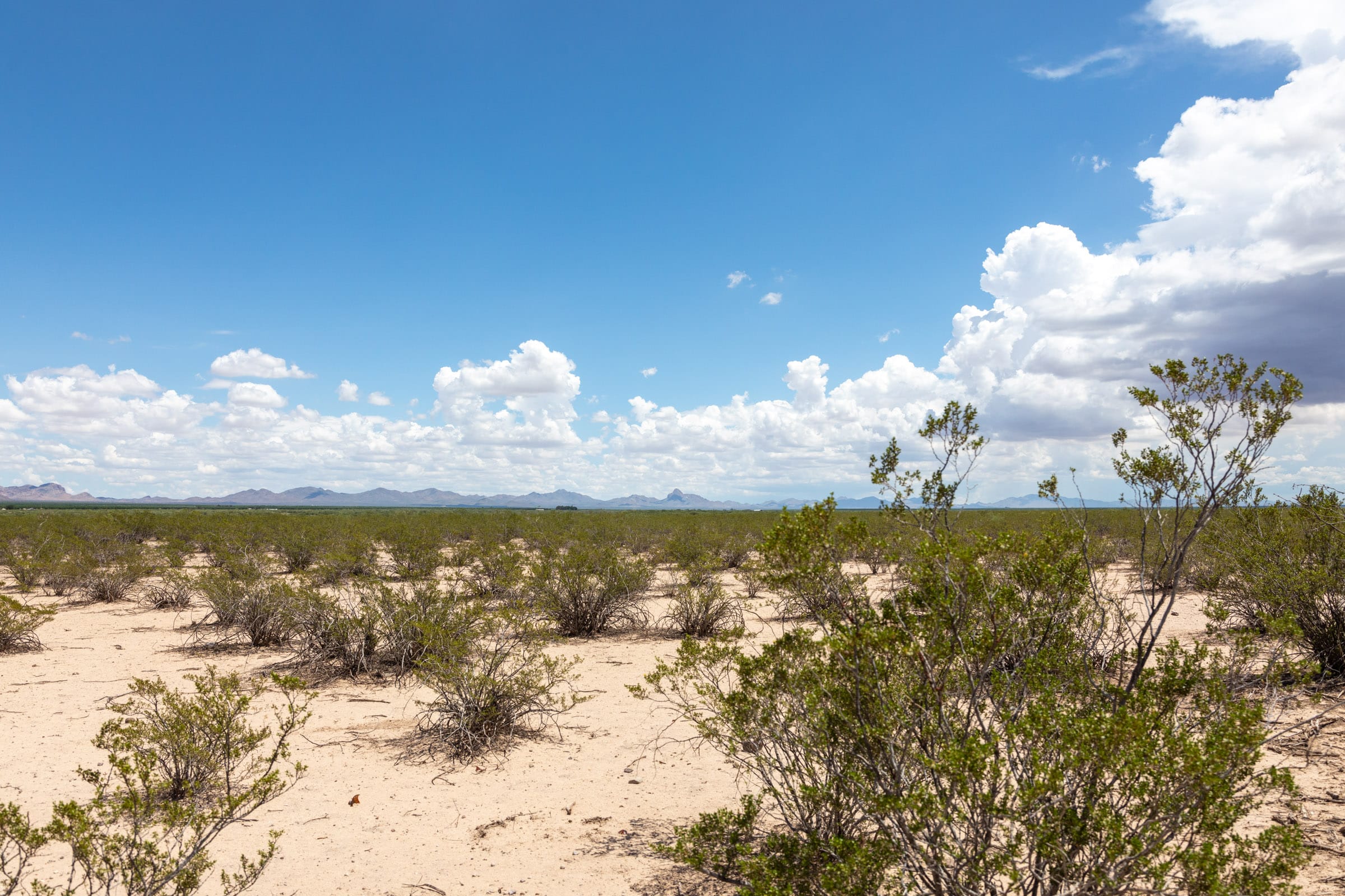 Horizon’s Edge Tract 1 photo 13