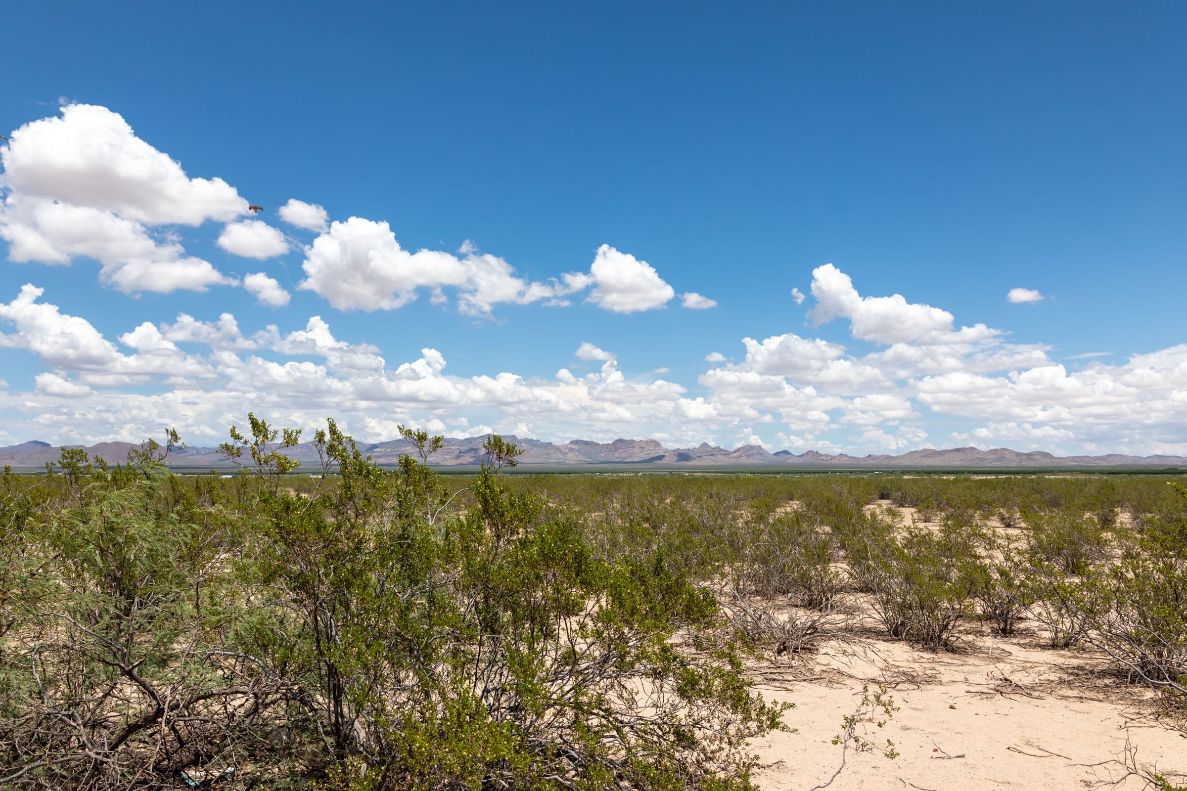 Horizon’s Edge Tract 1 photo 14