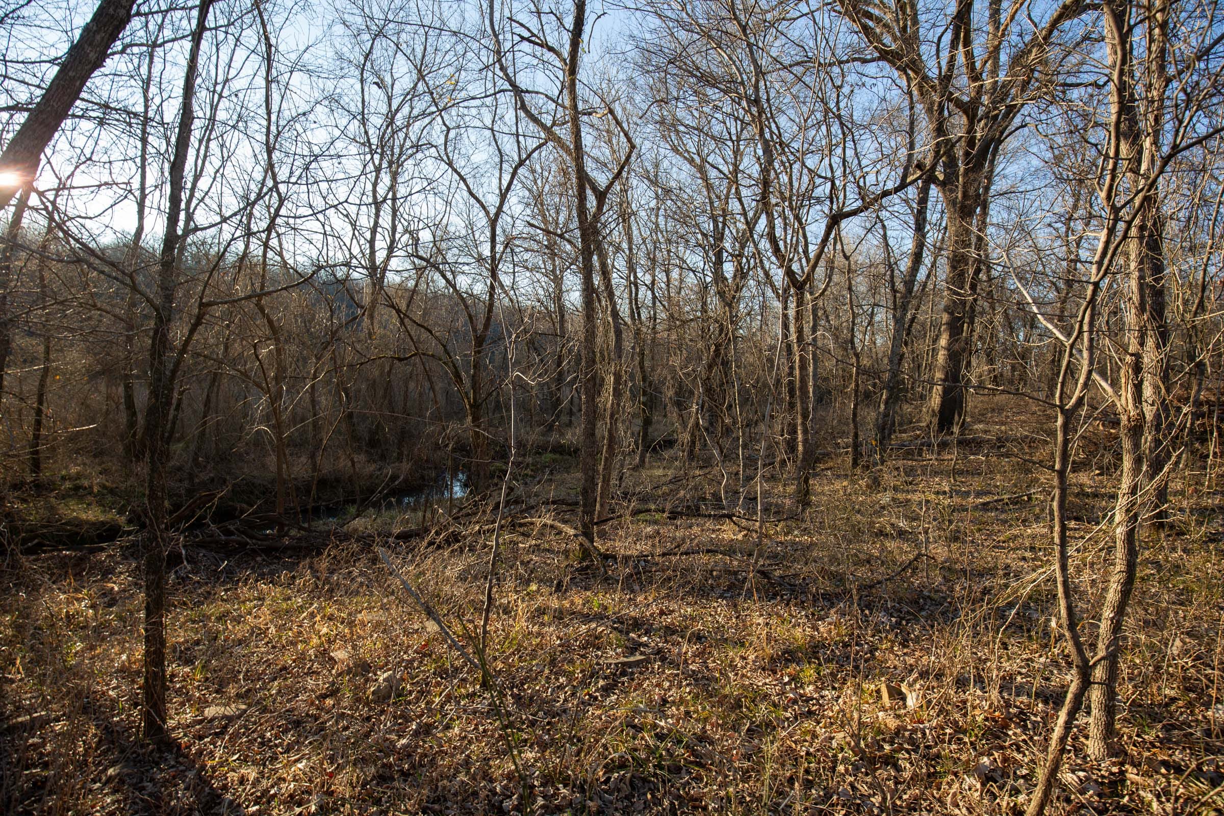 Painted Horse Tract 35 photo 6