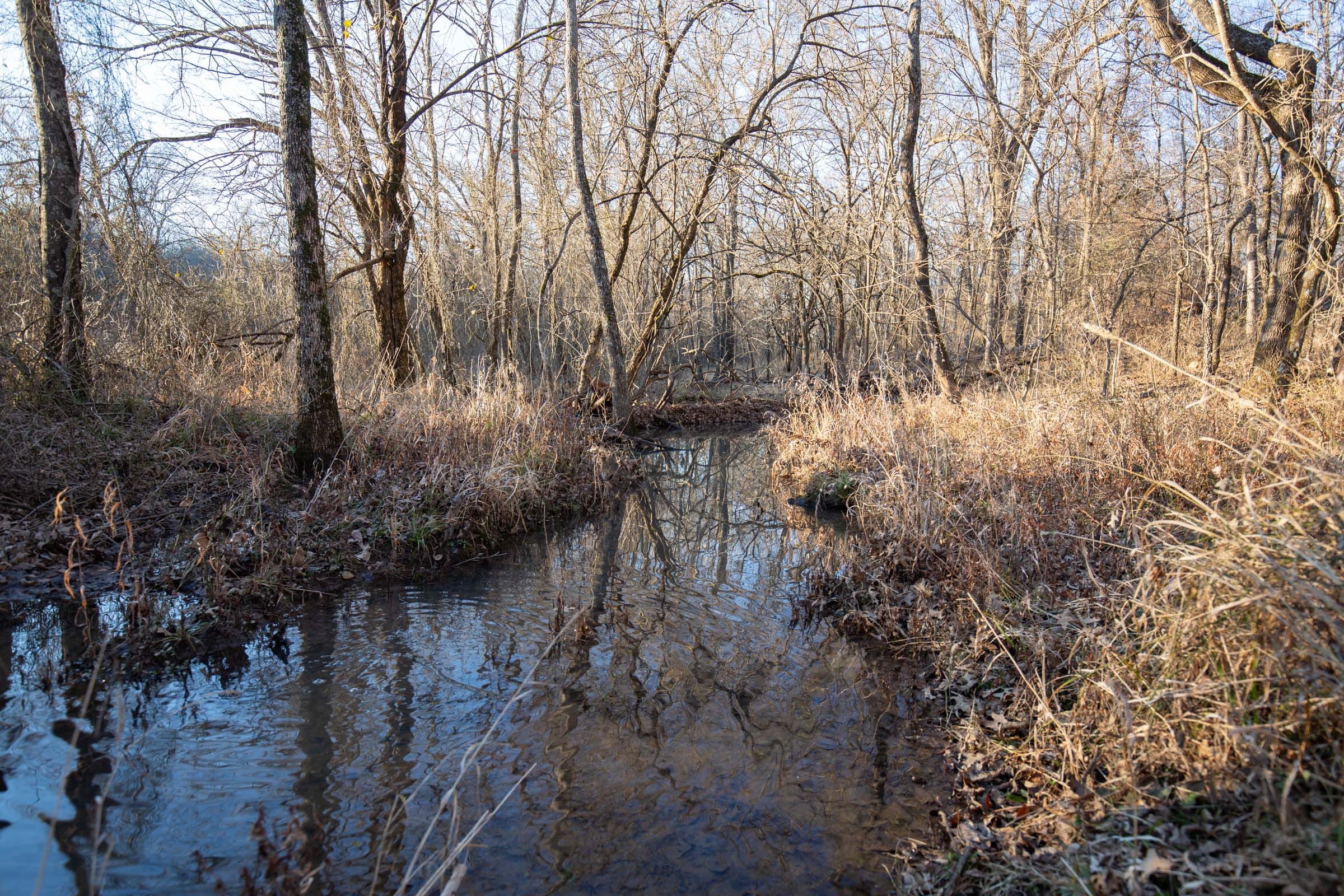 Painted Horse Tract 35 photo 2