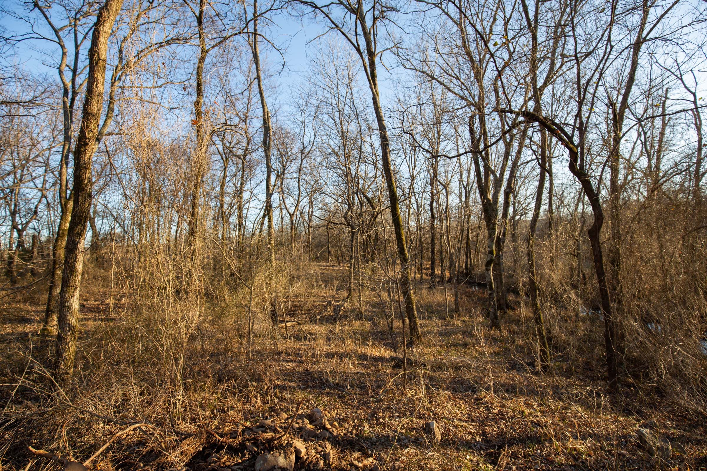 Painted Horse Tract 35 photo 8