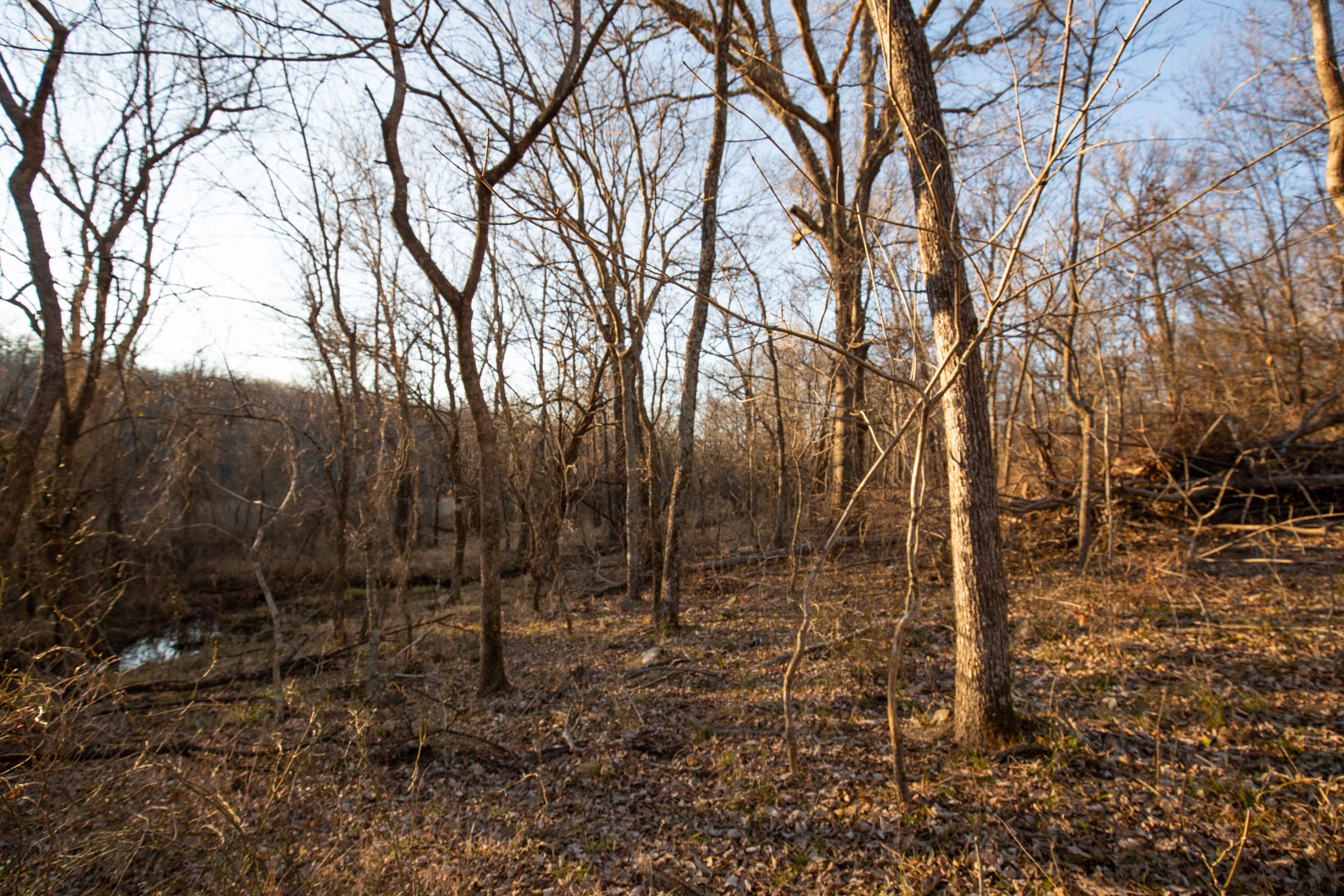 Painted Horse Tract 35 photo 9