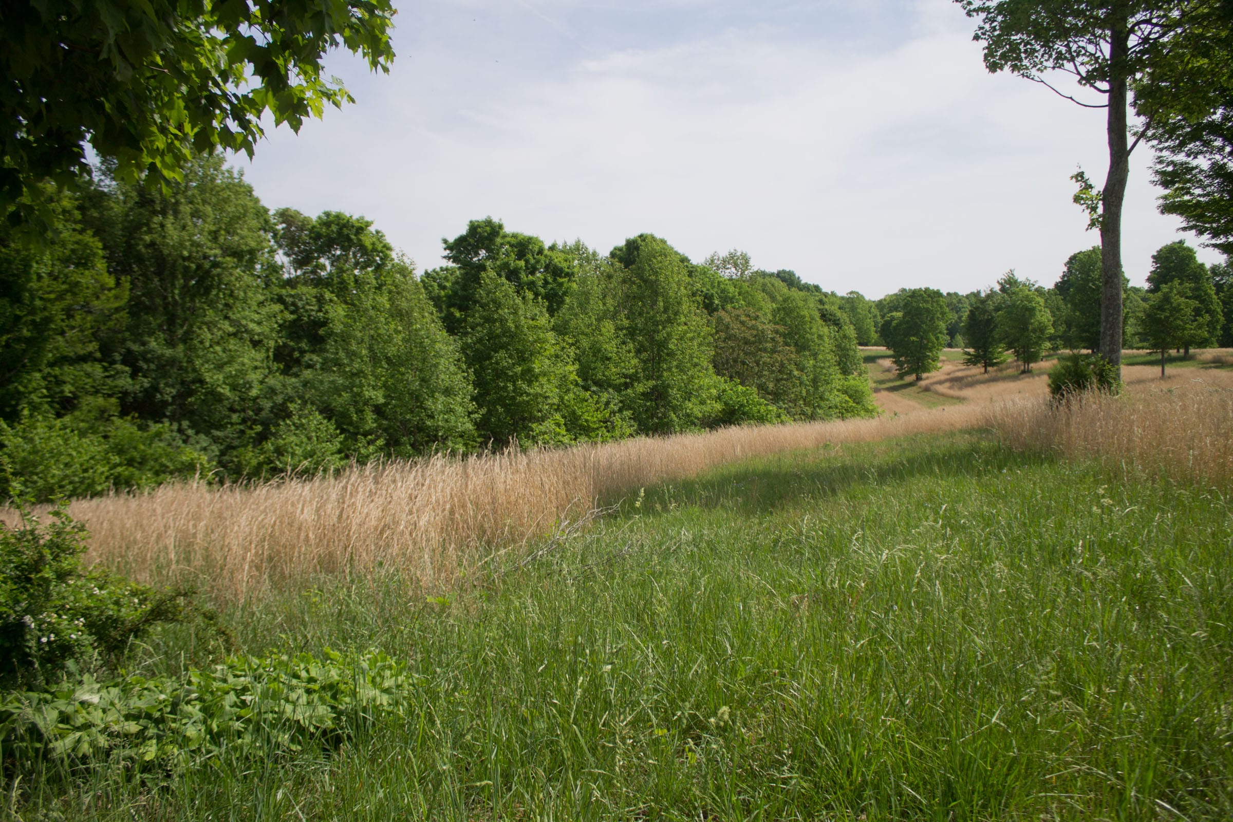 Laurel Ridge Tract 13 photo 1