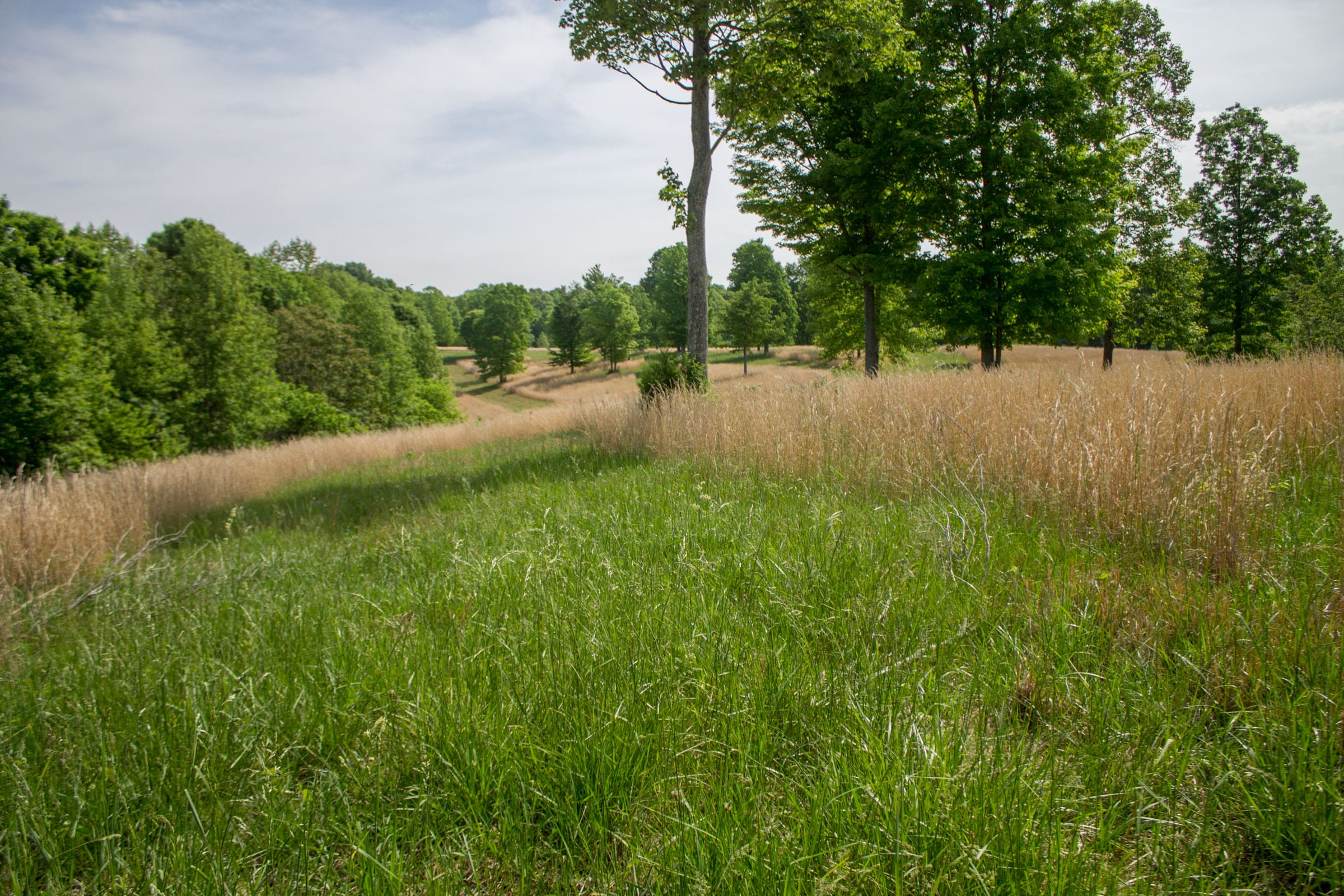 Laurel Ridge Tract 13 photo 2