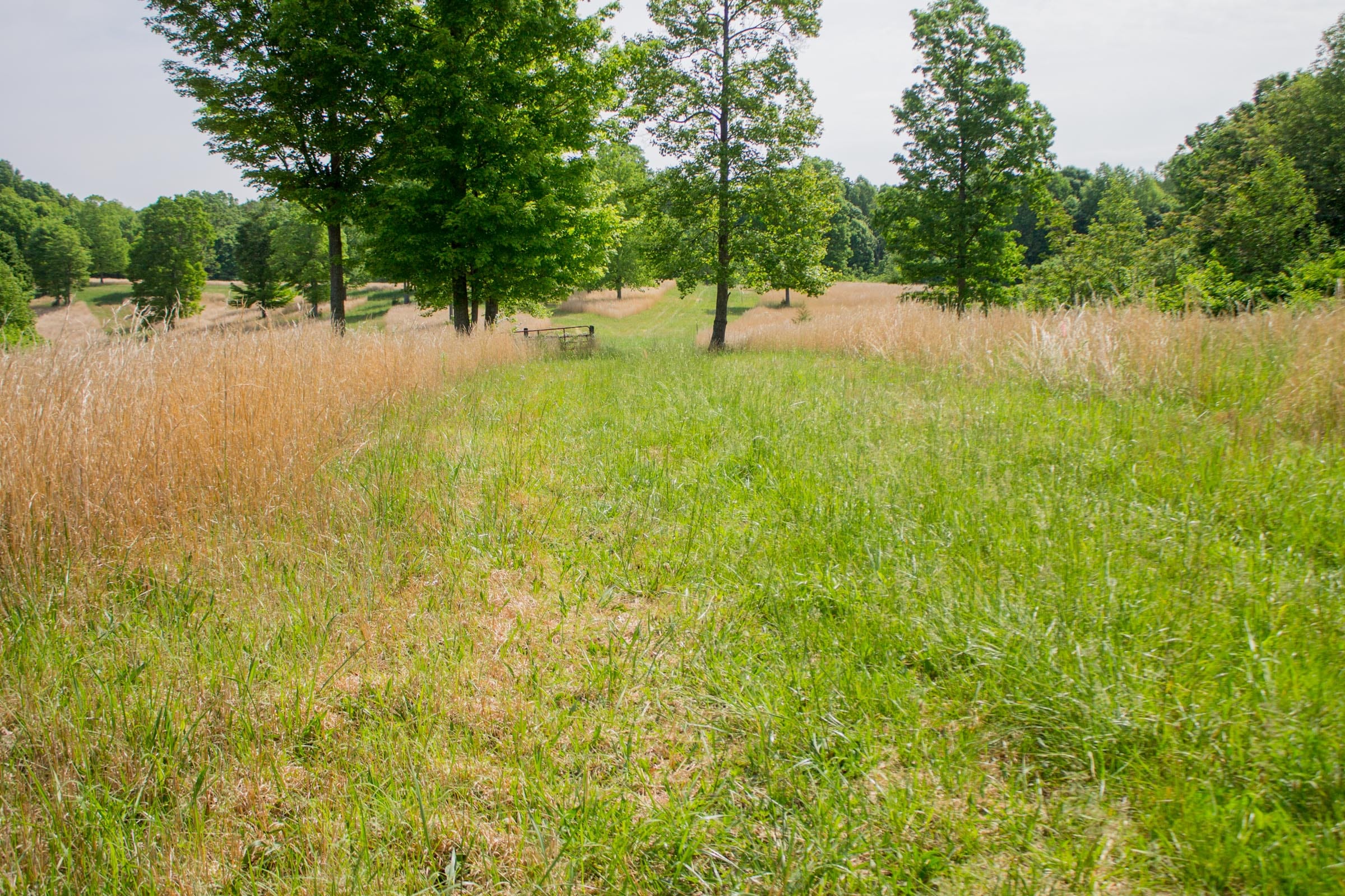 Laurel Ridge Tract 13 photo 7