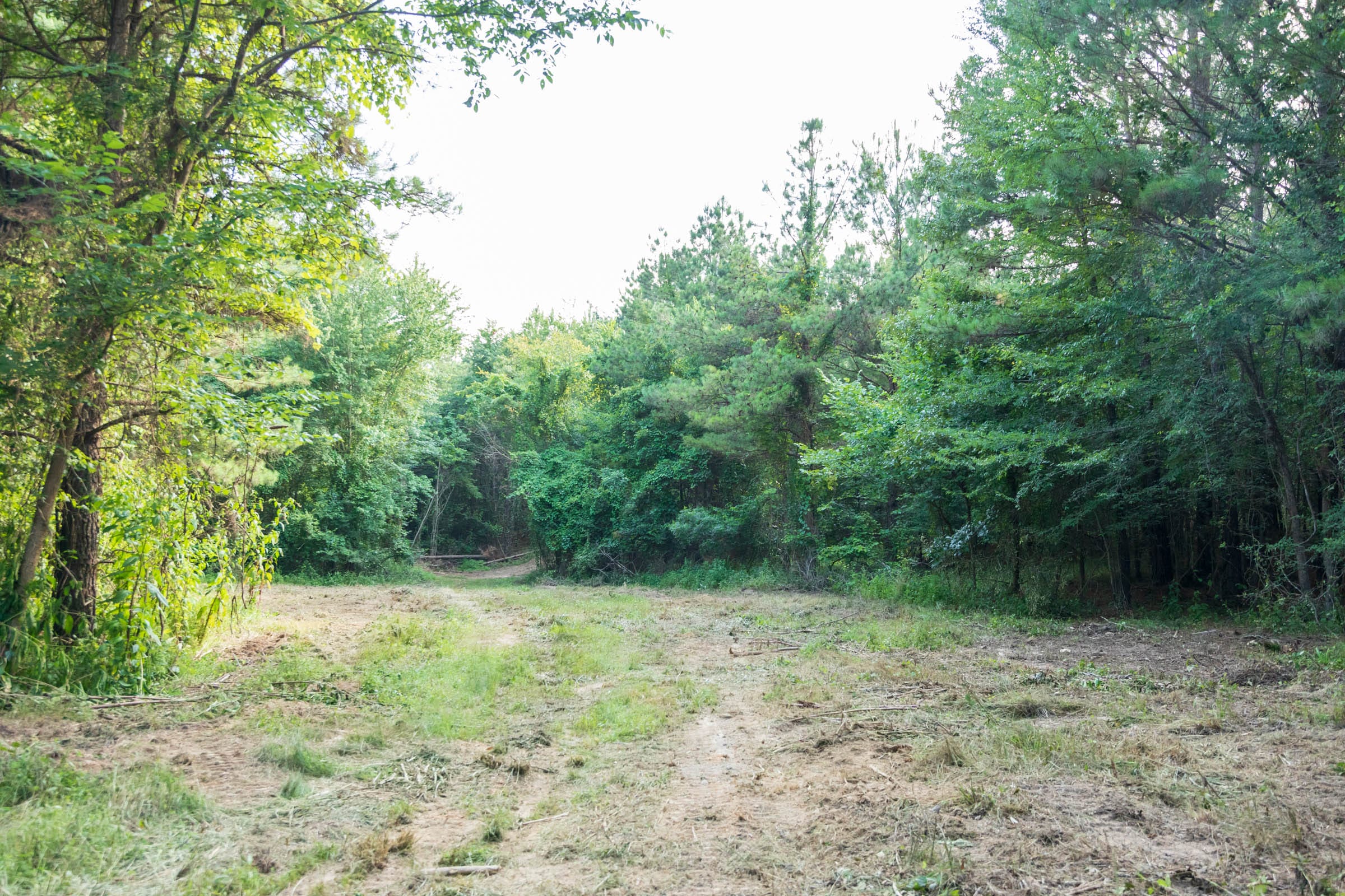 Whiskey Ridge Tract 63 photo 5