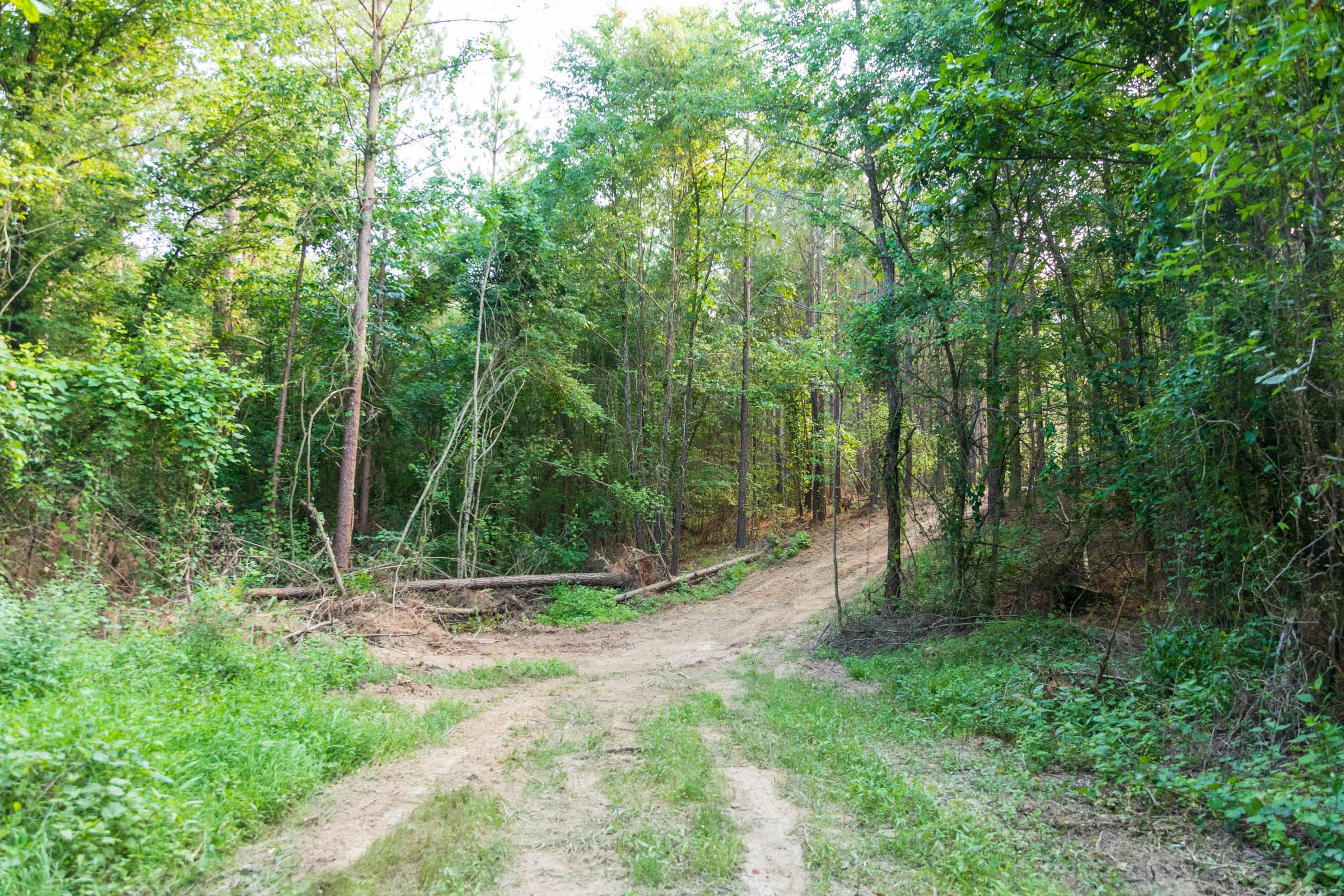 Whiskey Ridge Tract 63 photo 6