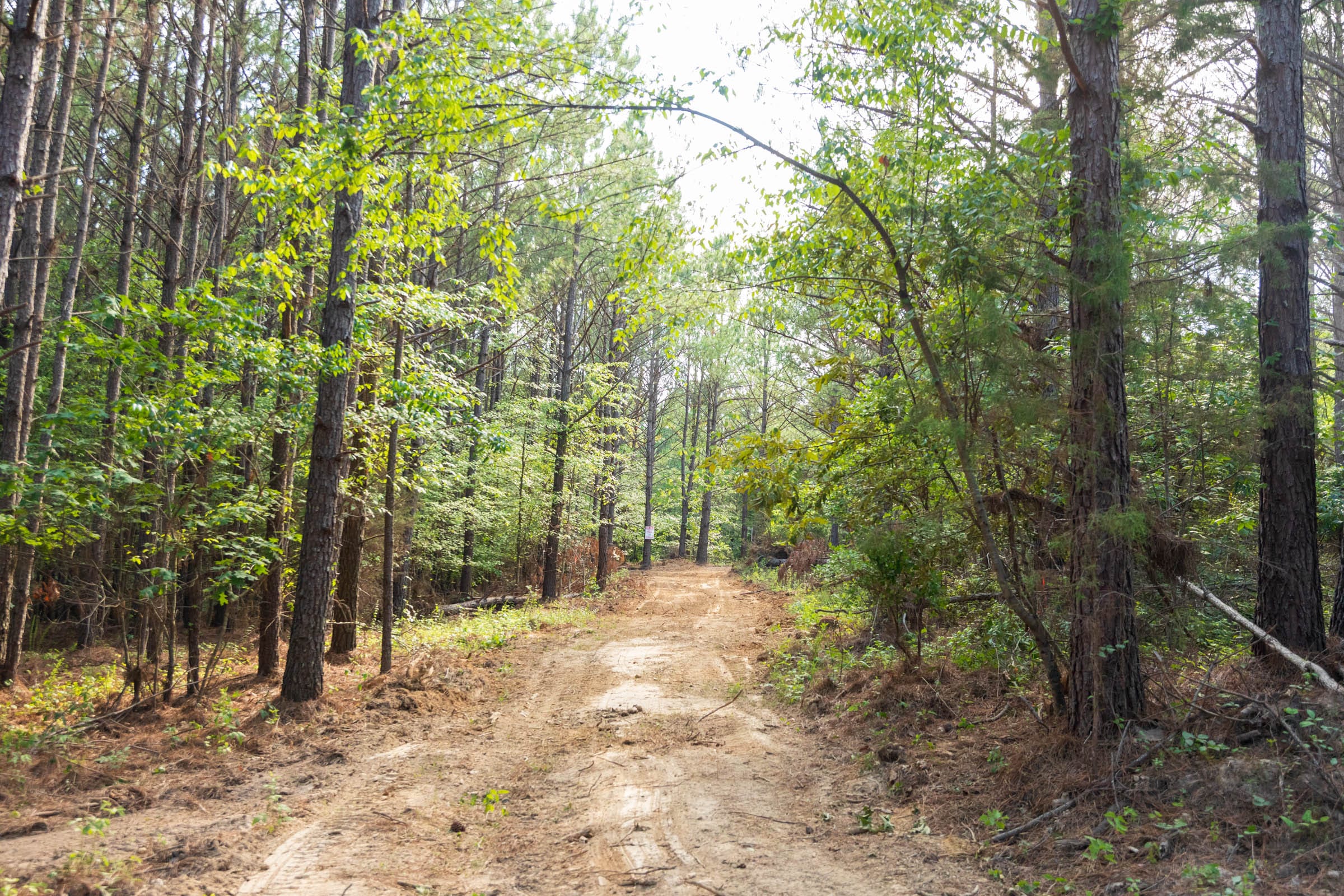 Whiskey Ridge Tract 63 photo 8