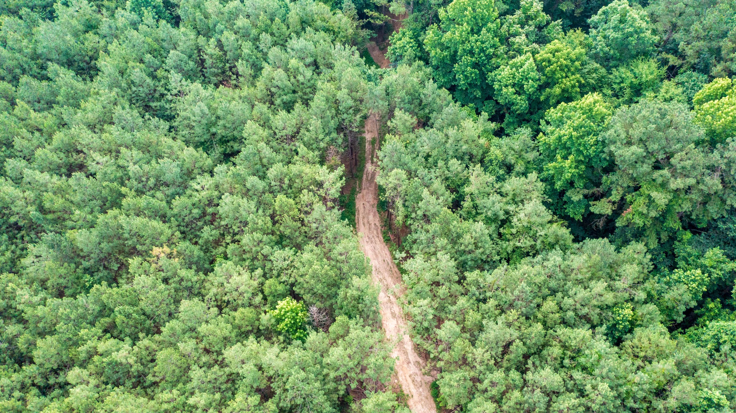 Whiskey Ridge Tract 63 photo 1