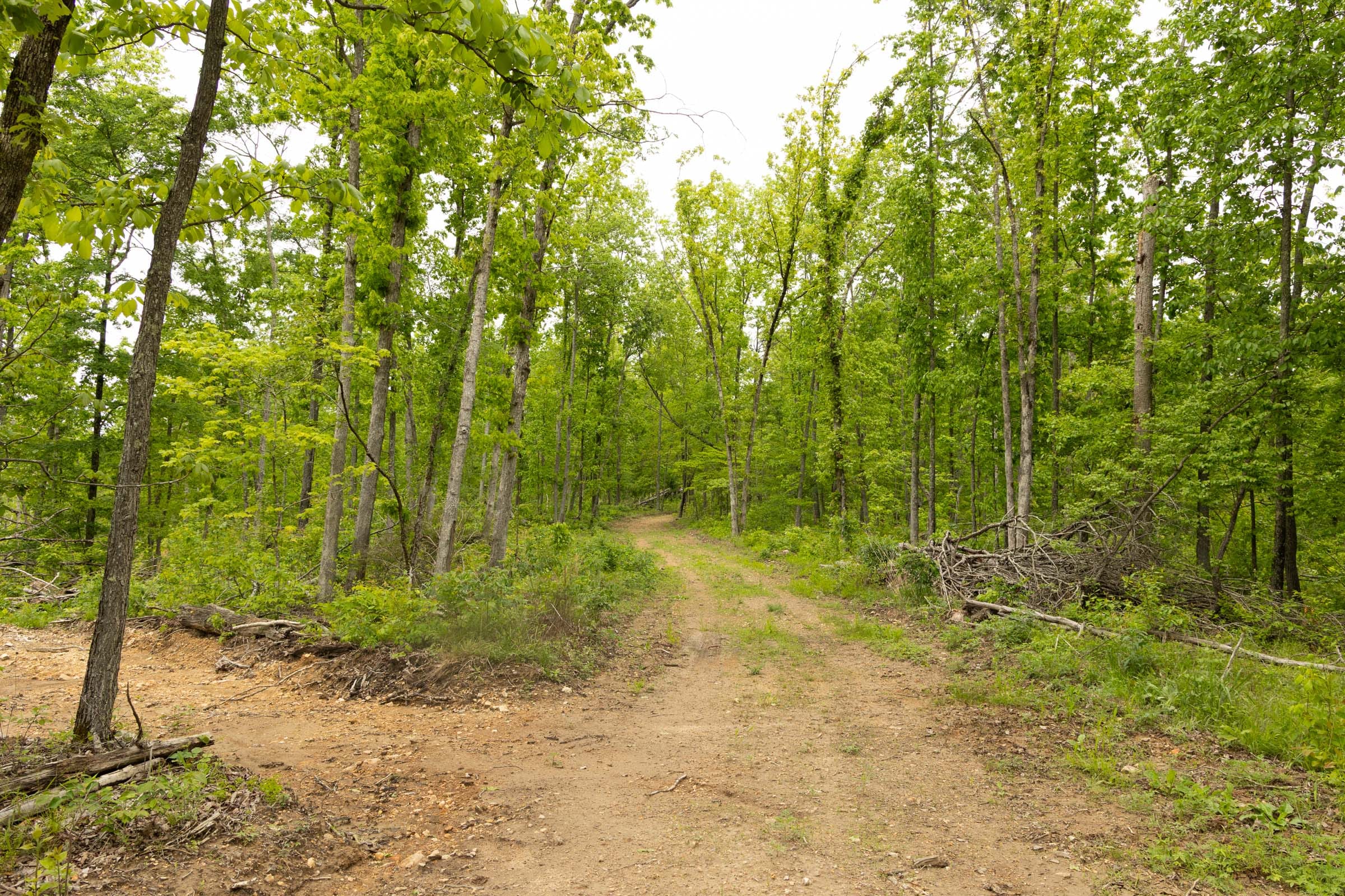Stardust Estates Tract 16 photo 11