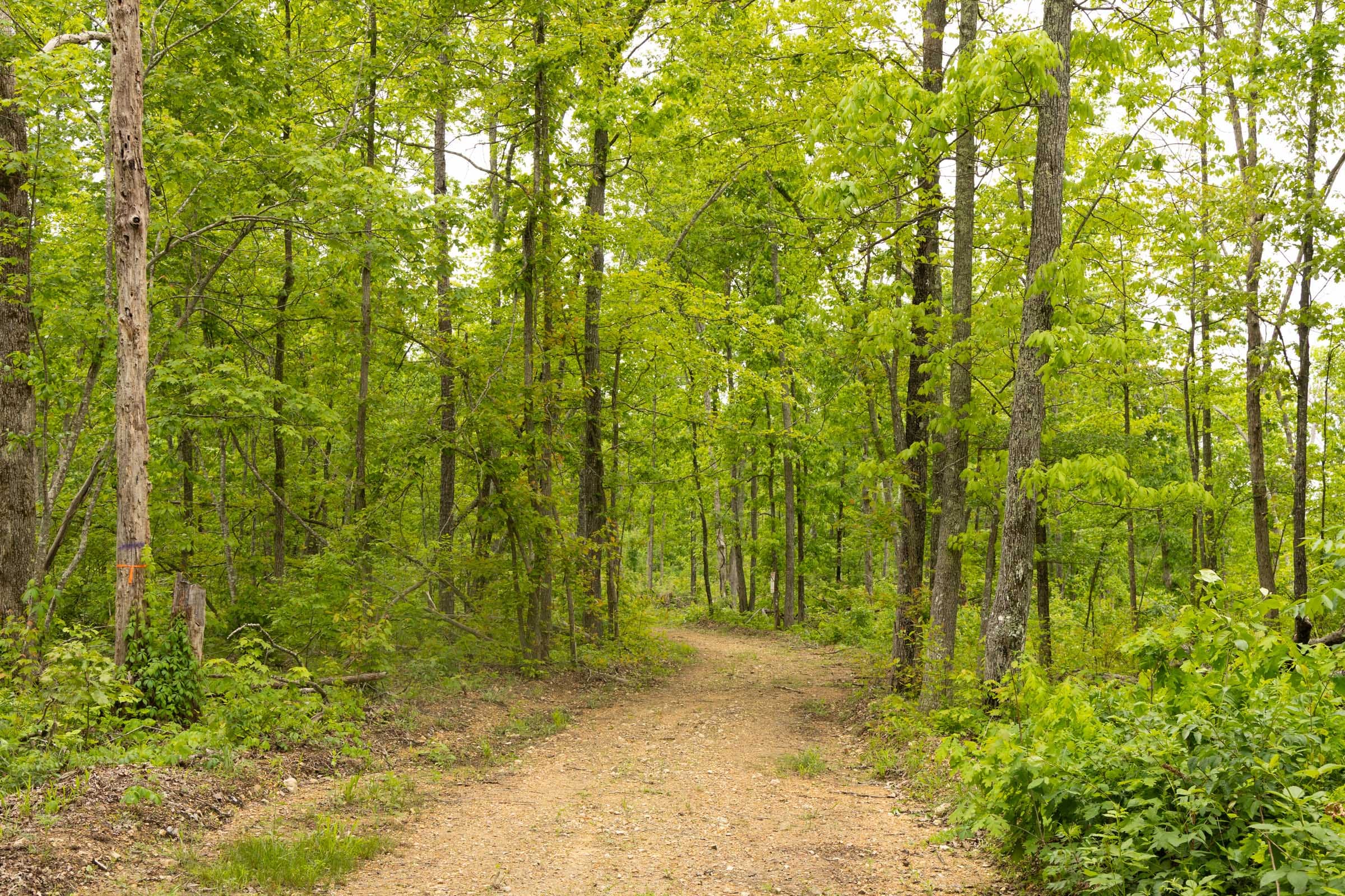 Stardust Estates Tract 16 photo 8