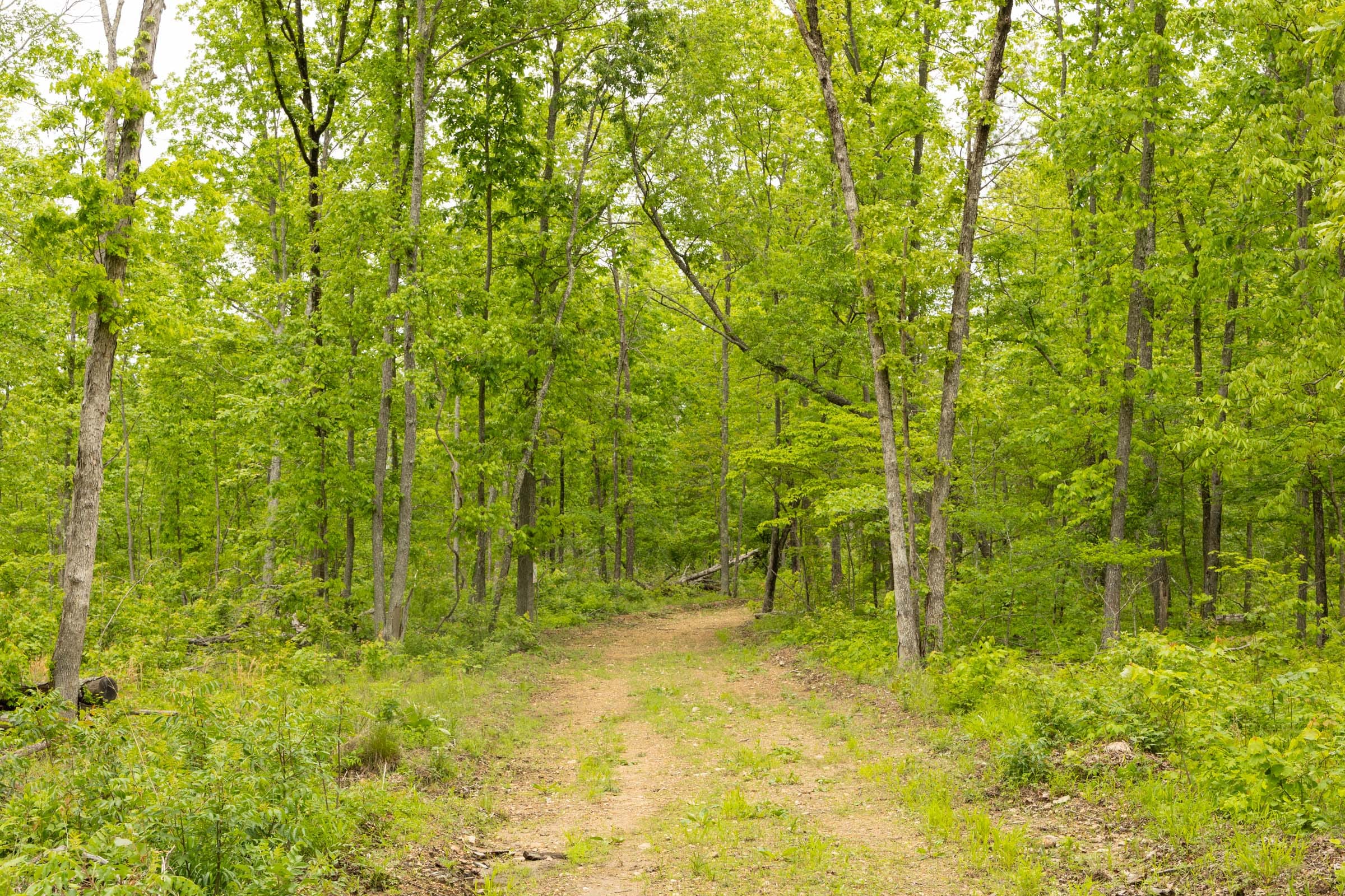 Stardust Estates Tract 16 photo 5