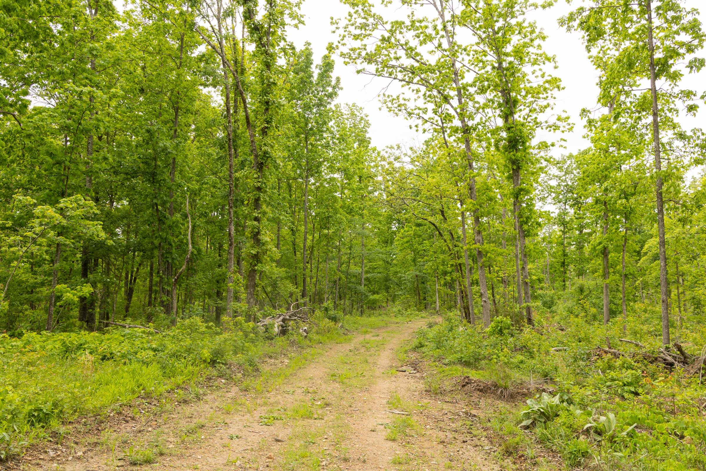 Stardust Estates Tract 16 photo 2