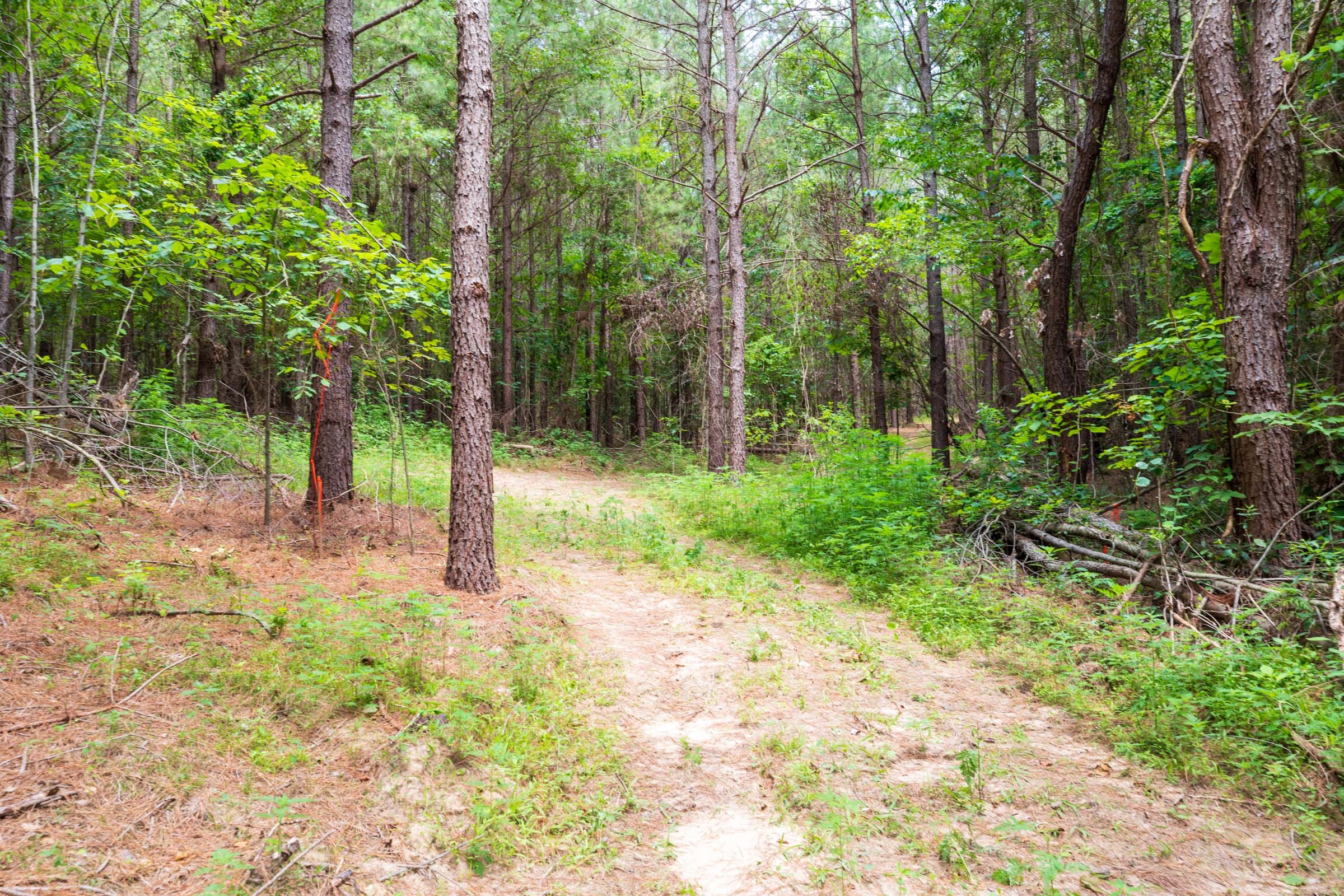 Whiskey Ridge Tract 31 photo 1
