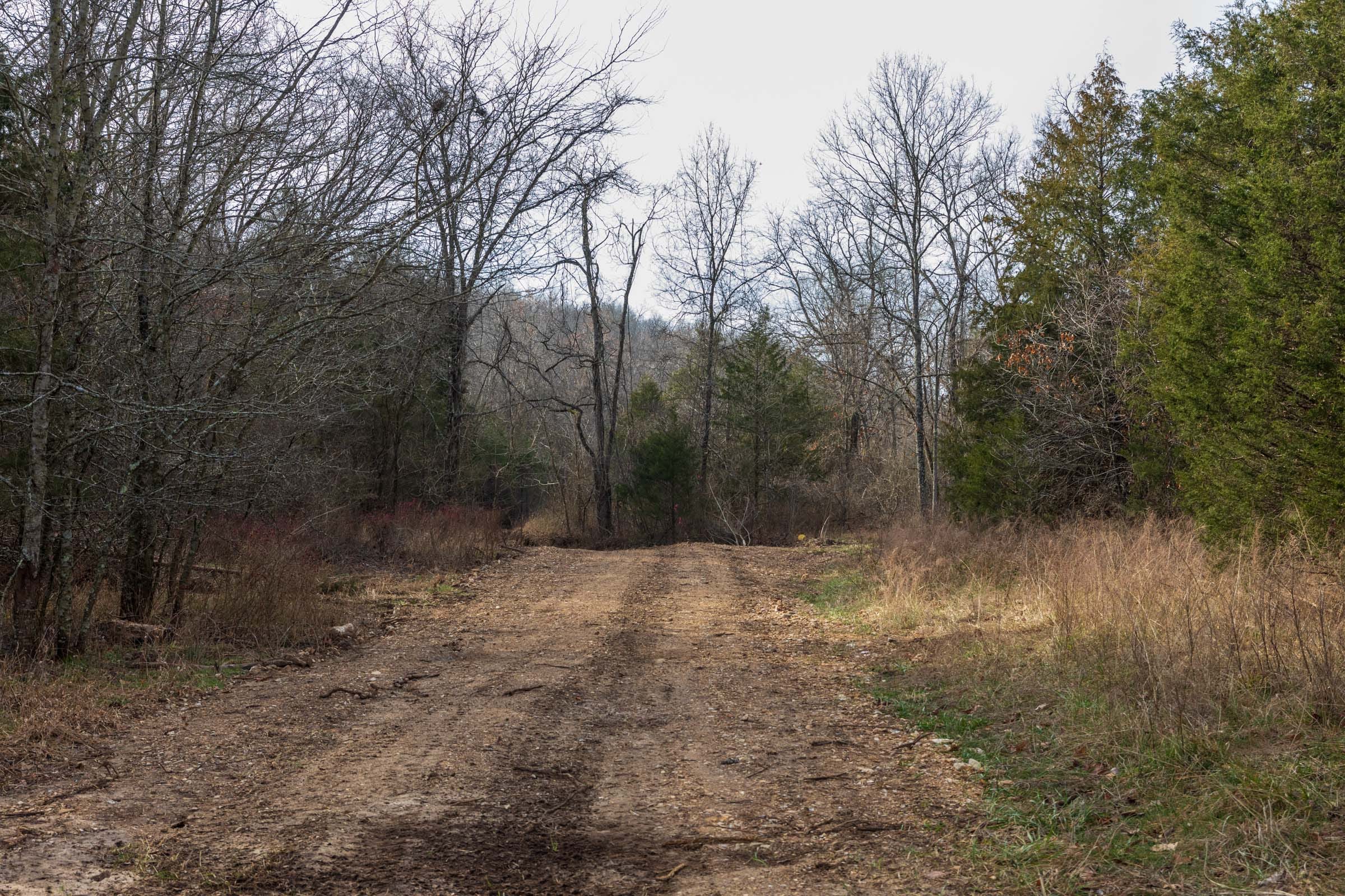Crossroads Tract 17 photo 1