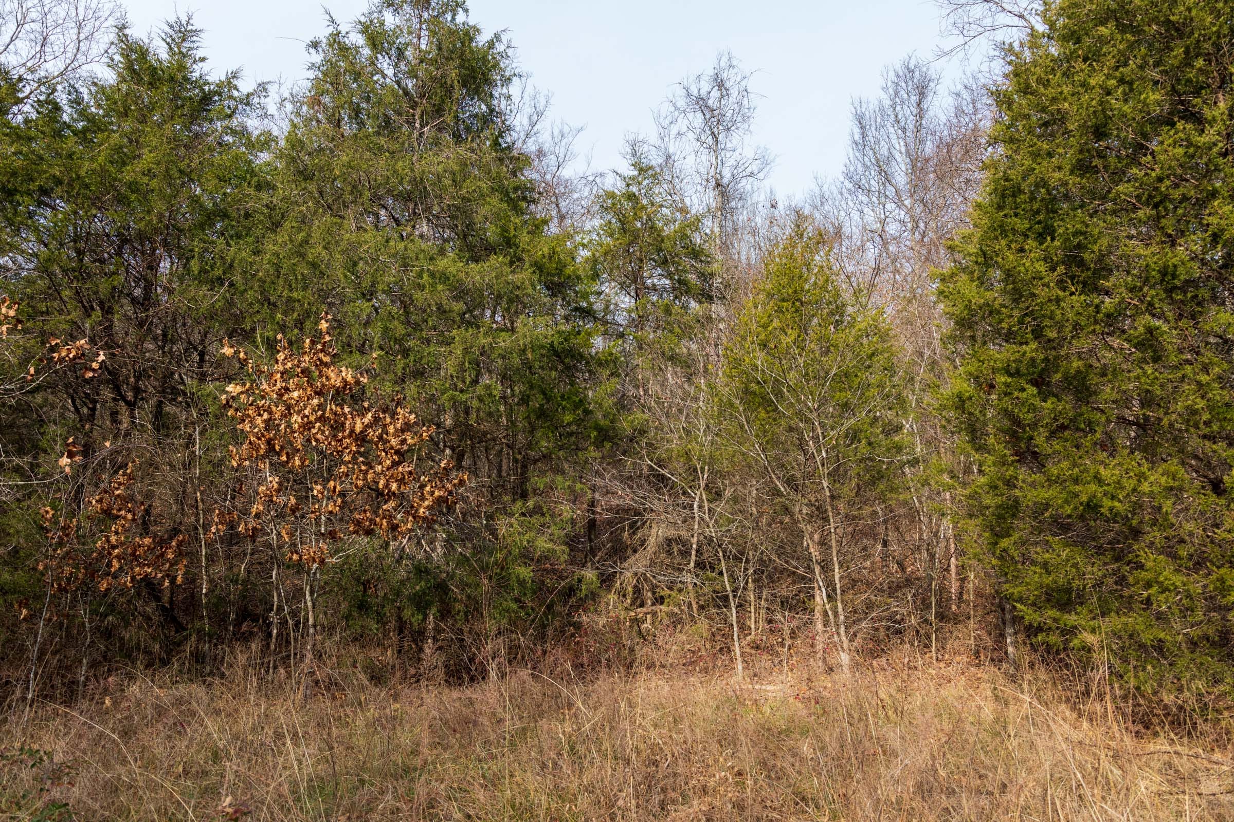 Crossroads Tract 17 photo 3