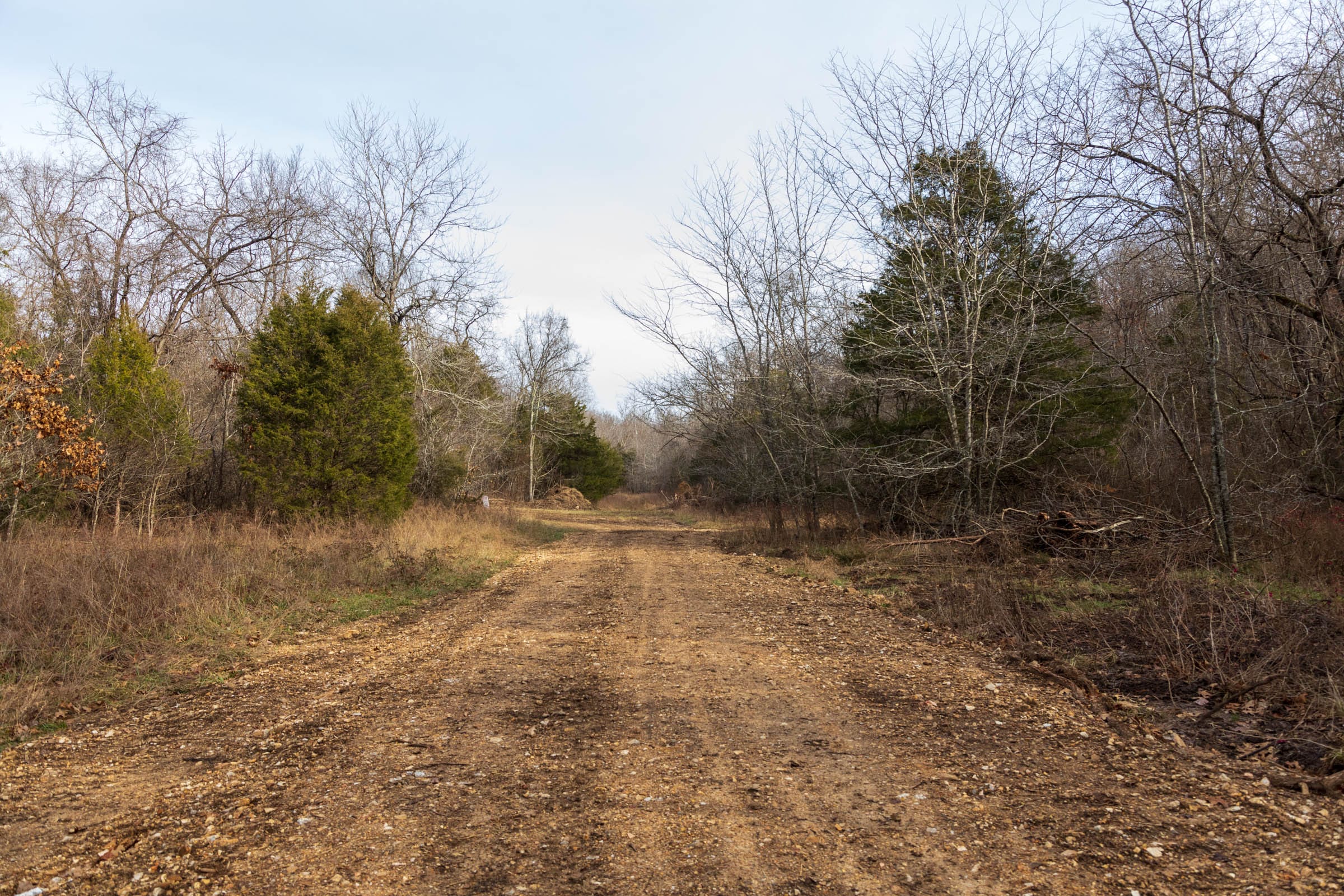 Crossroads Tract 17 photo 4