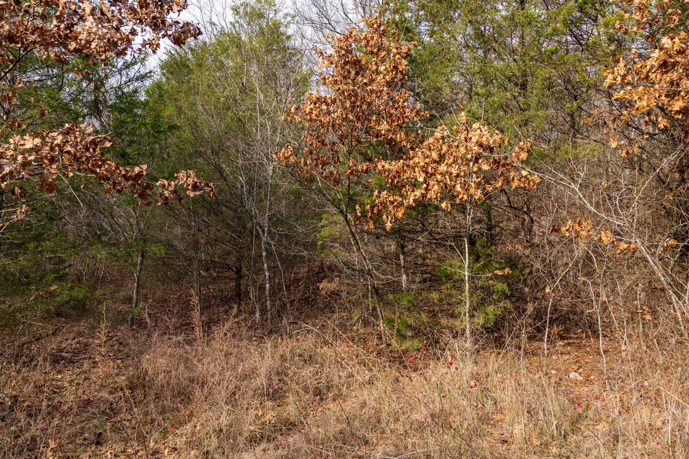 Crossroads Tract 17 photo 5