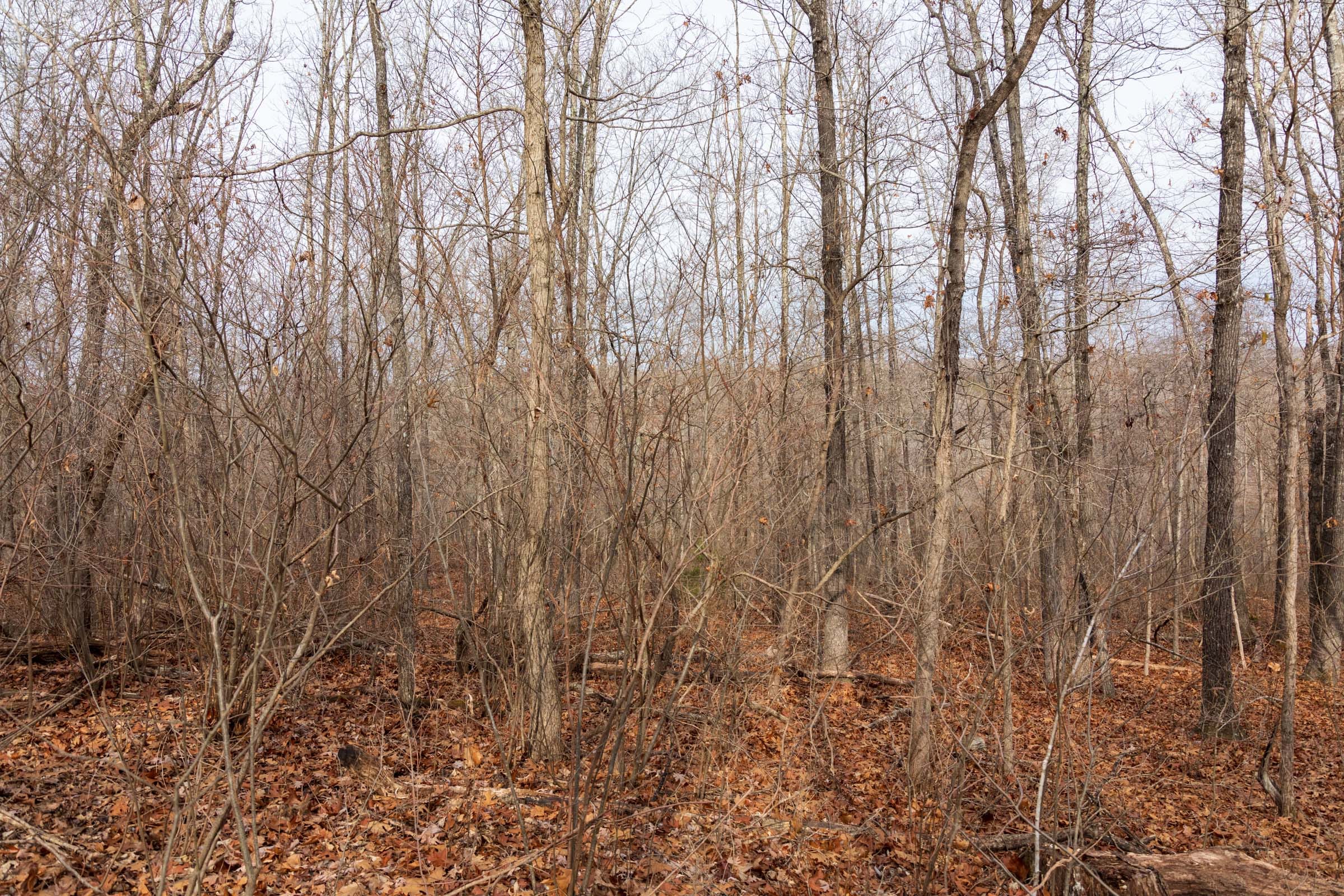 Crossroads Tract 17 photo 7
