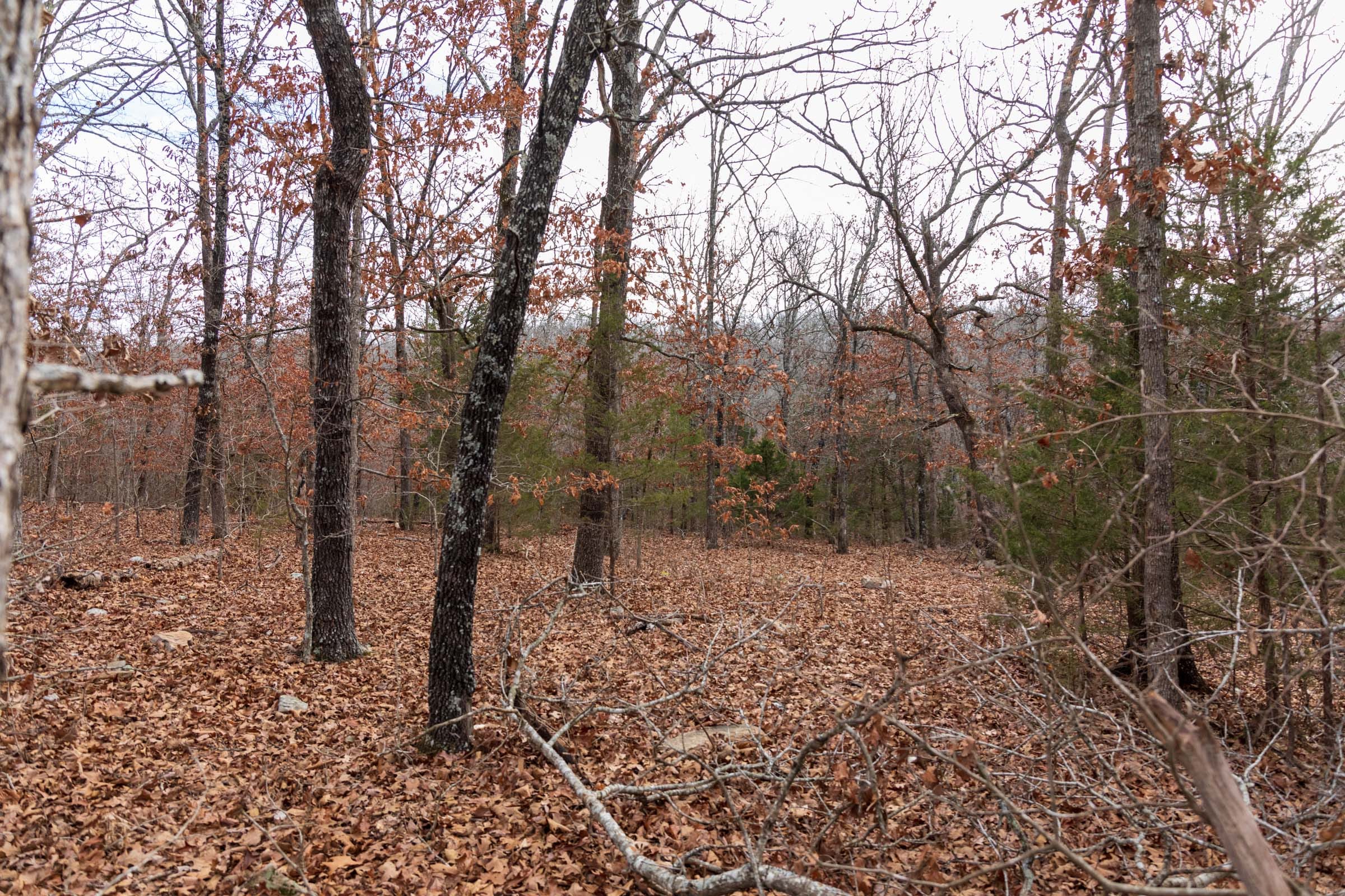Crossroads Tract 17 photo 8