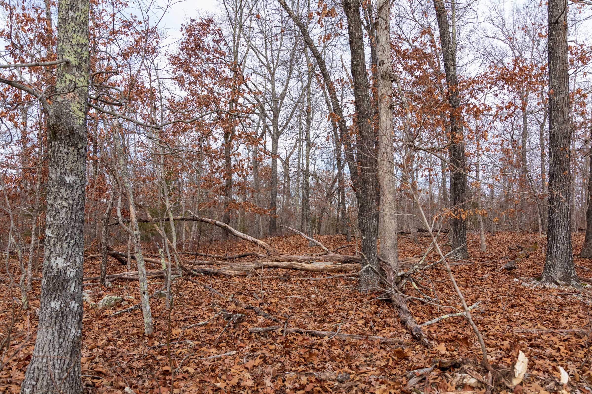 Crossroads Tract 17 photo 9