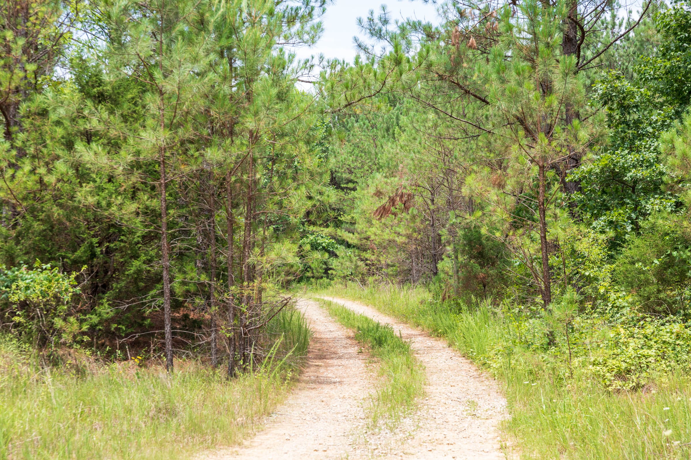 Whiskey Ridge Tract 54 photo 8