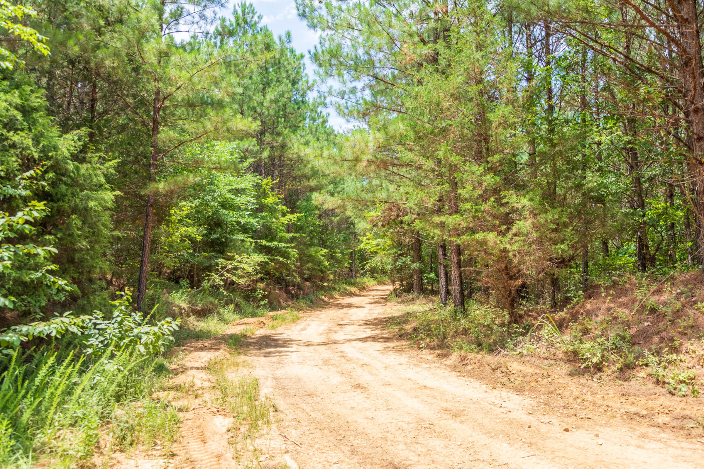Whiskey Ridge Tract 54 photo 13