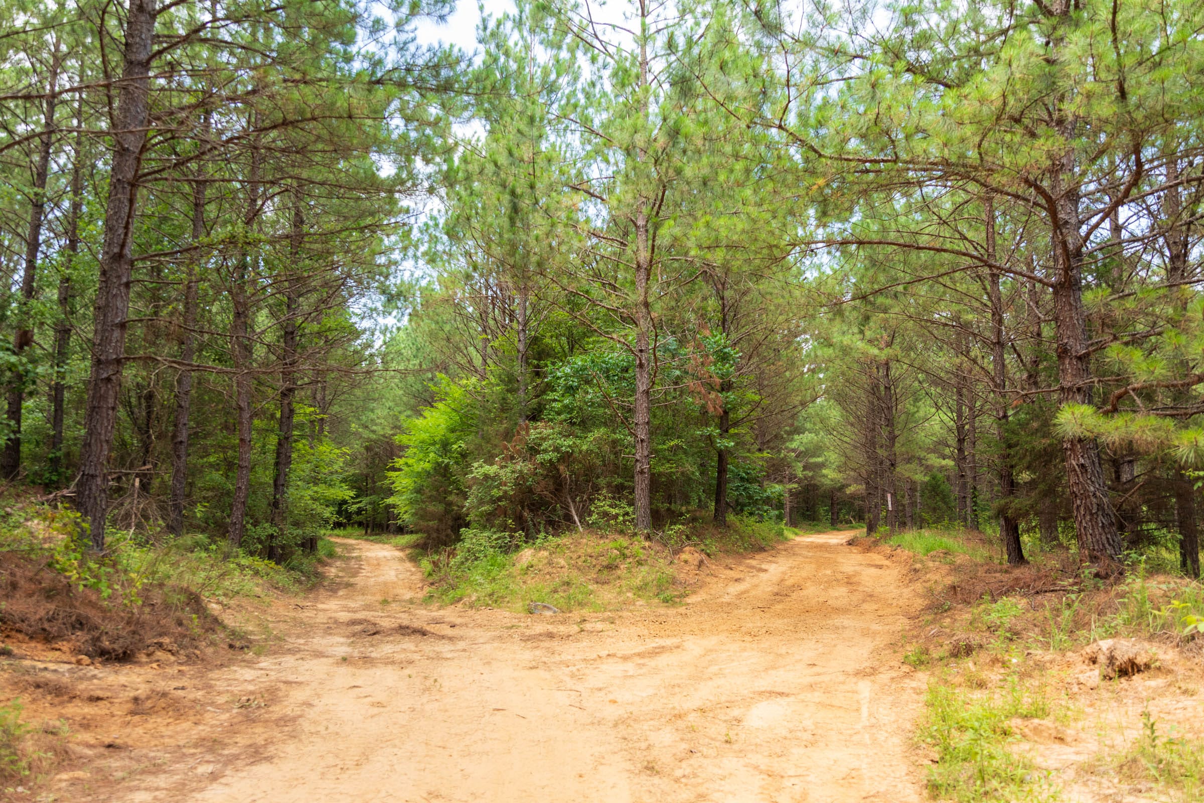 Whiskey Ridge Tract 54 photo 19