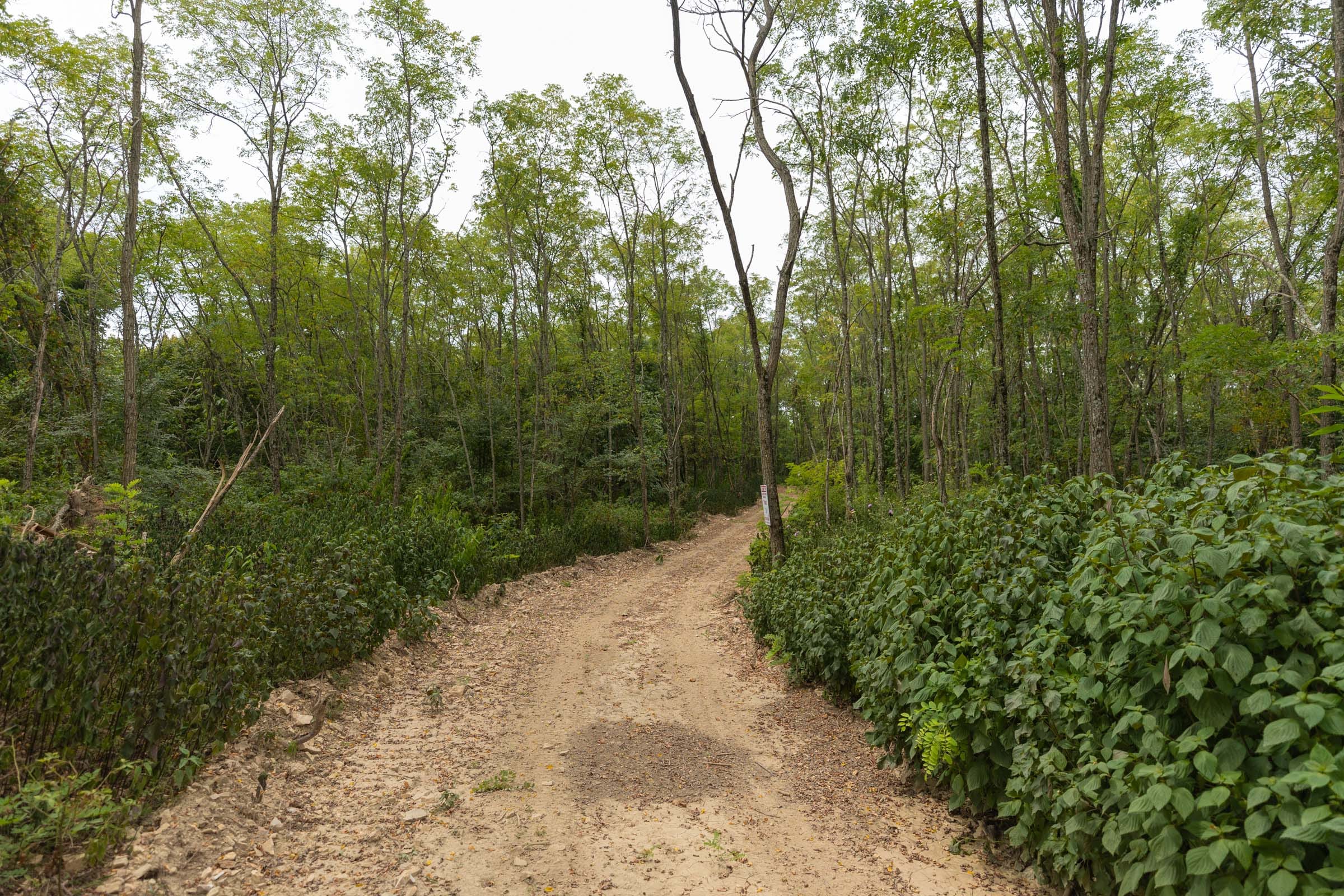 Big White Oak Tract 131 photo 18