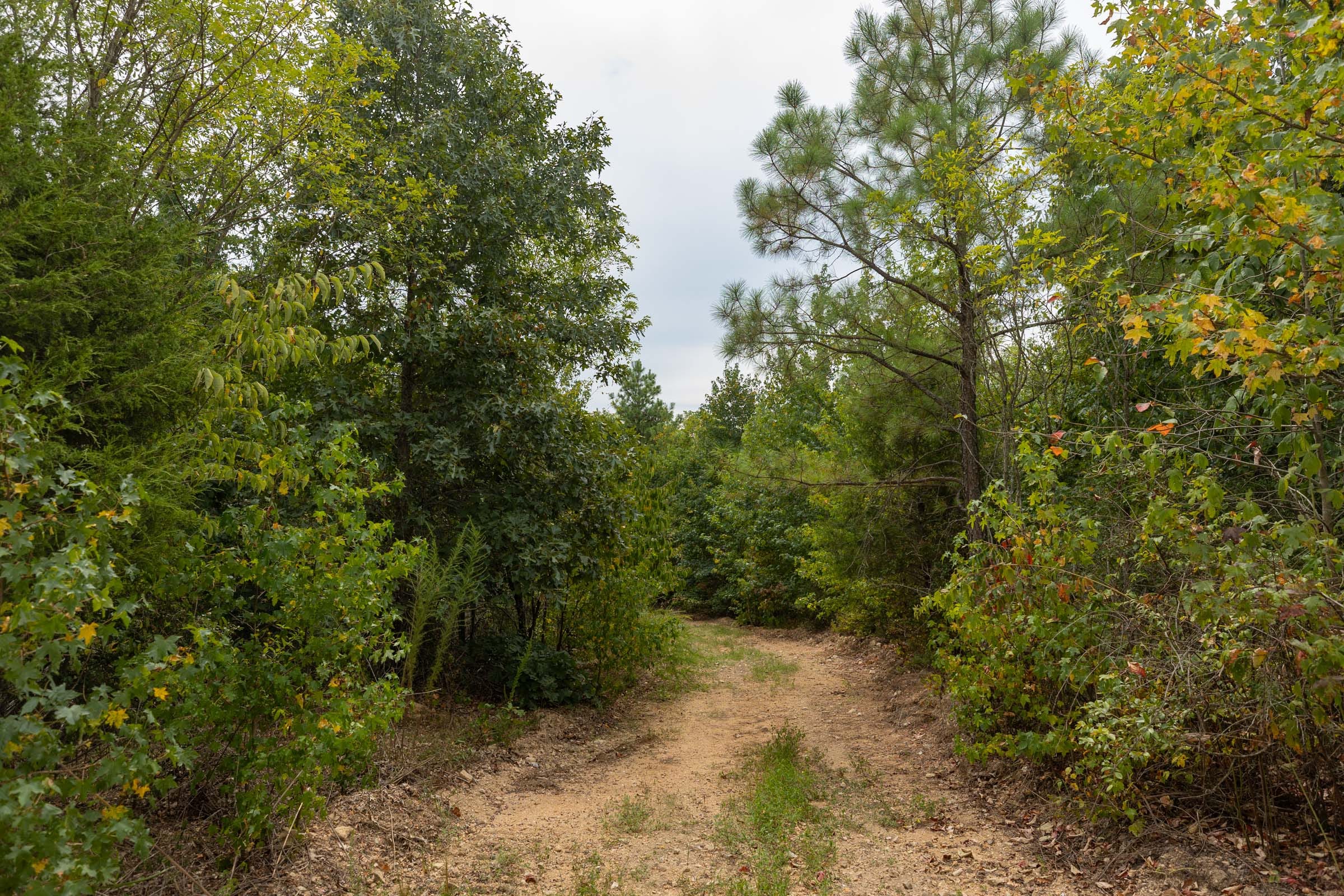 Big White Oak Tract 131 photo 2