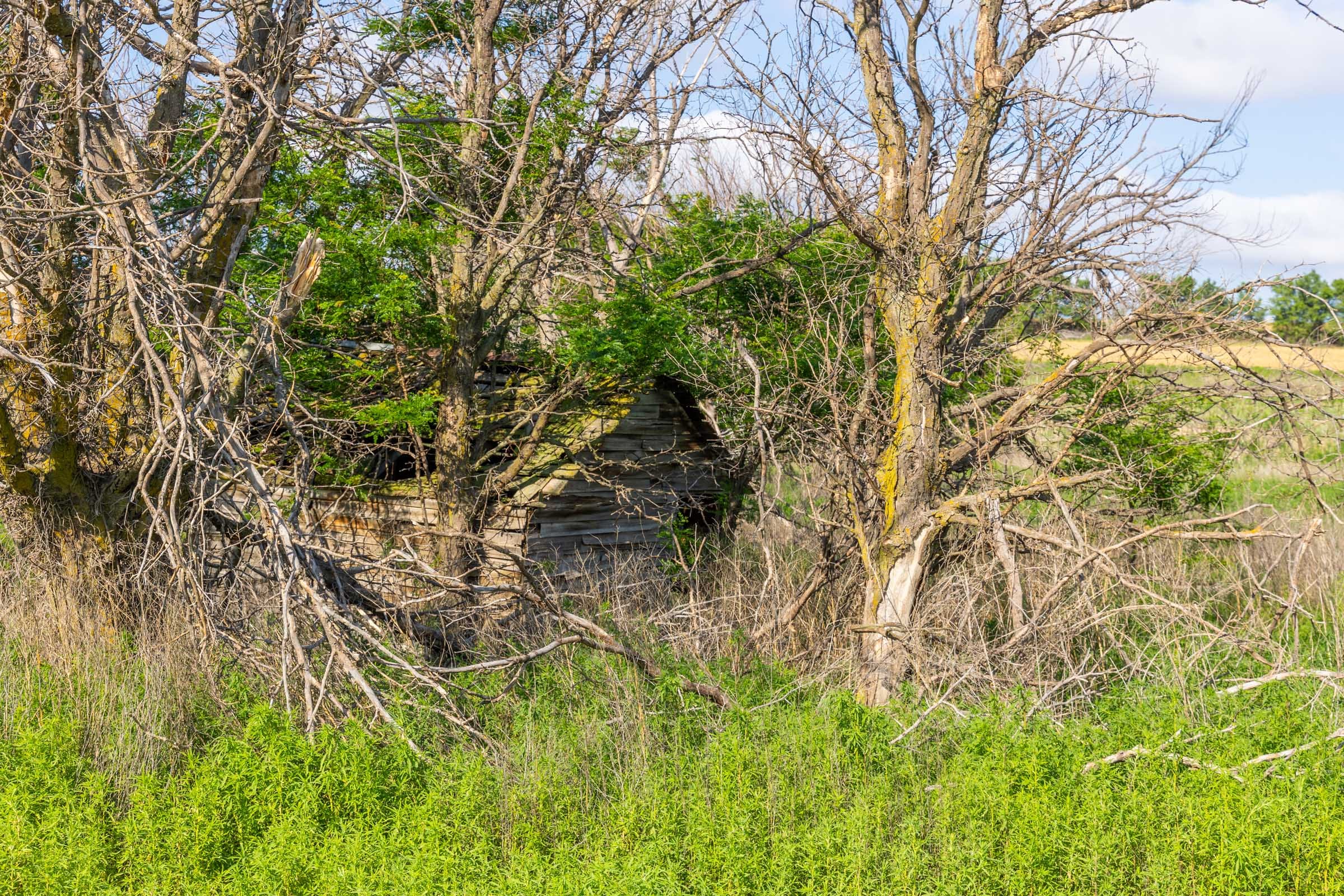 Crandall's Corner Tract 4 photo 9