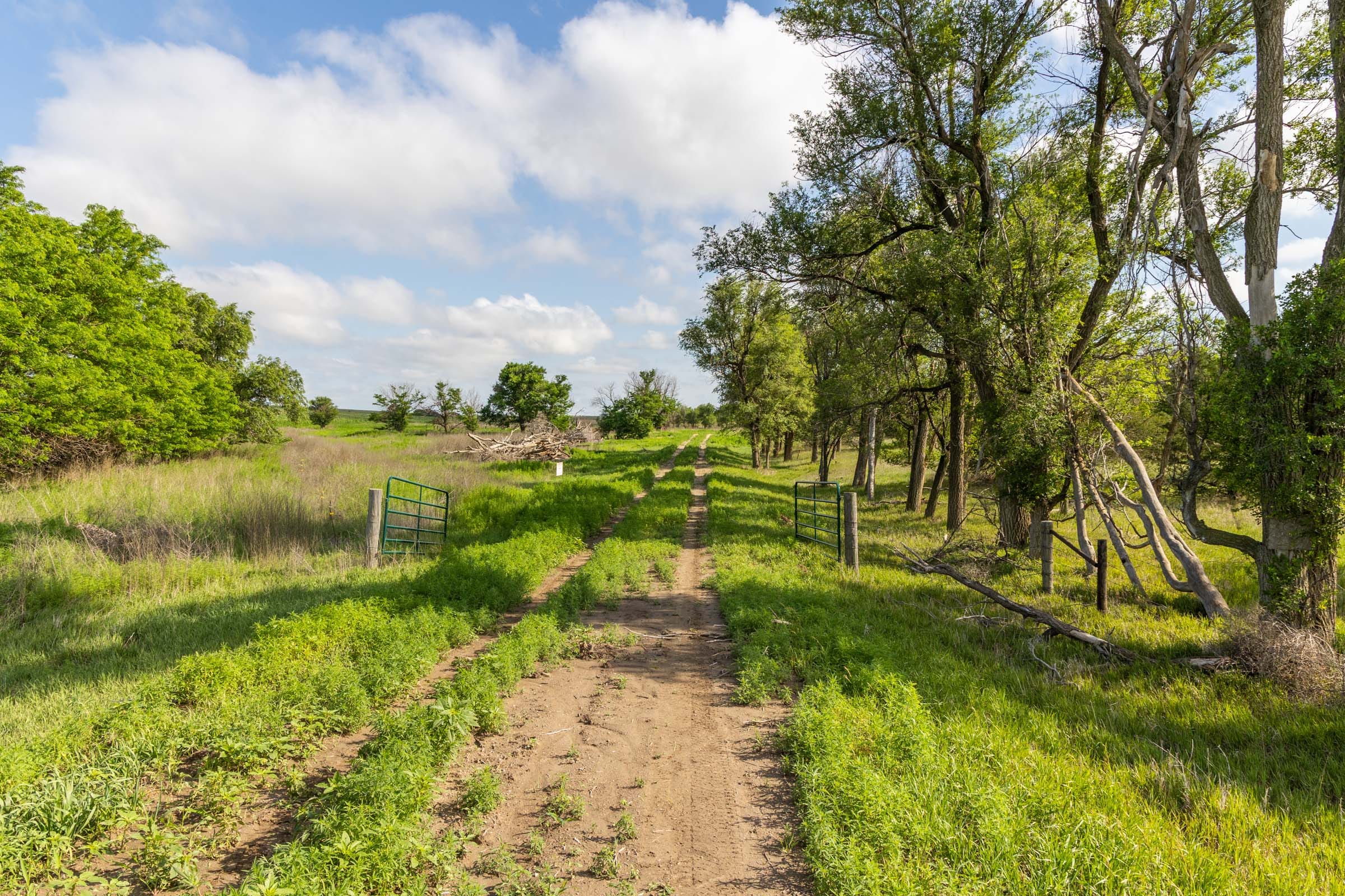 Crandall's Corner Tract 4 photo 4