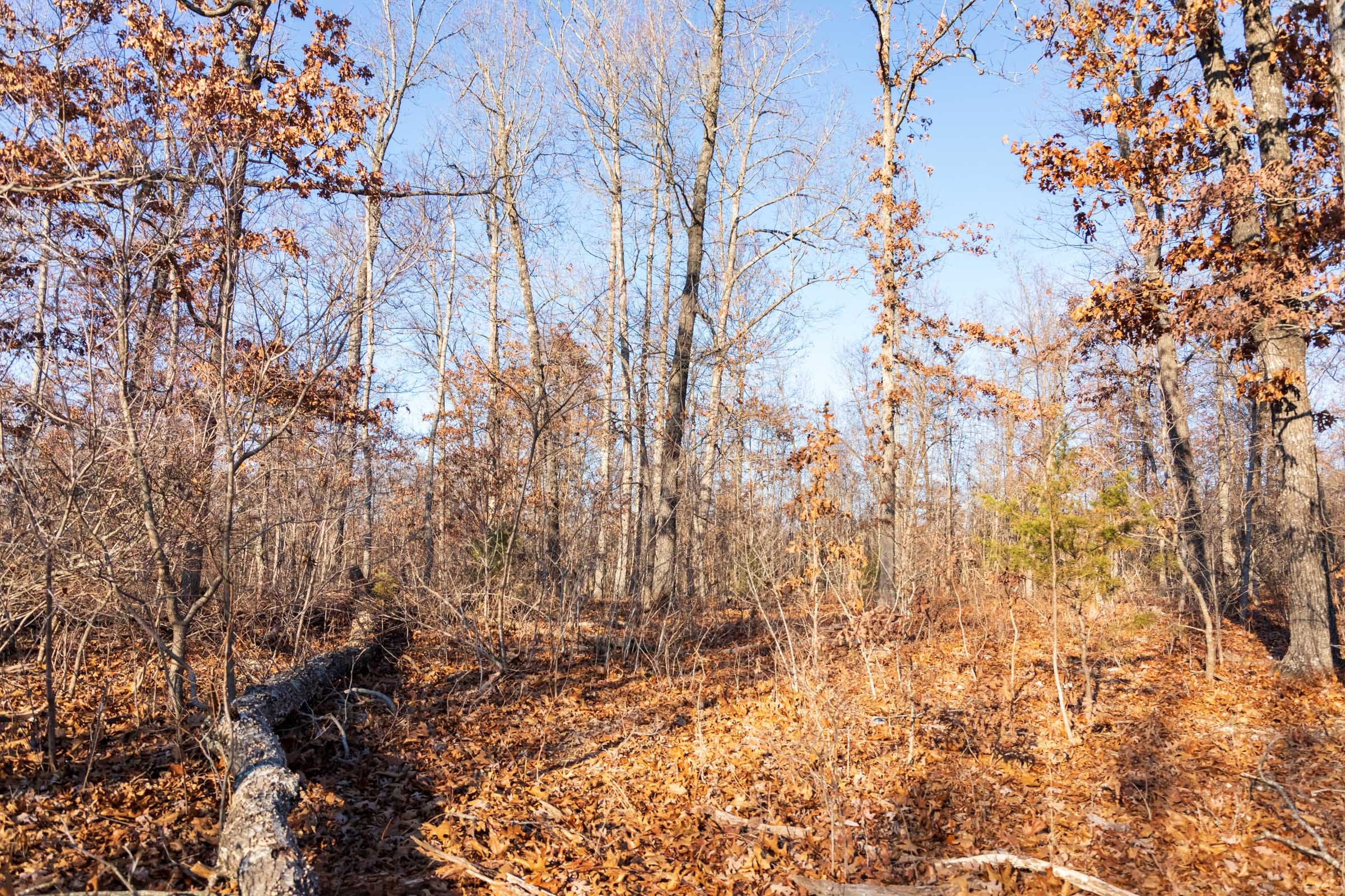 Crossroads Tract 21 photo 2