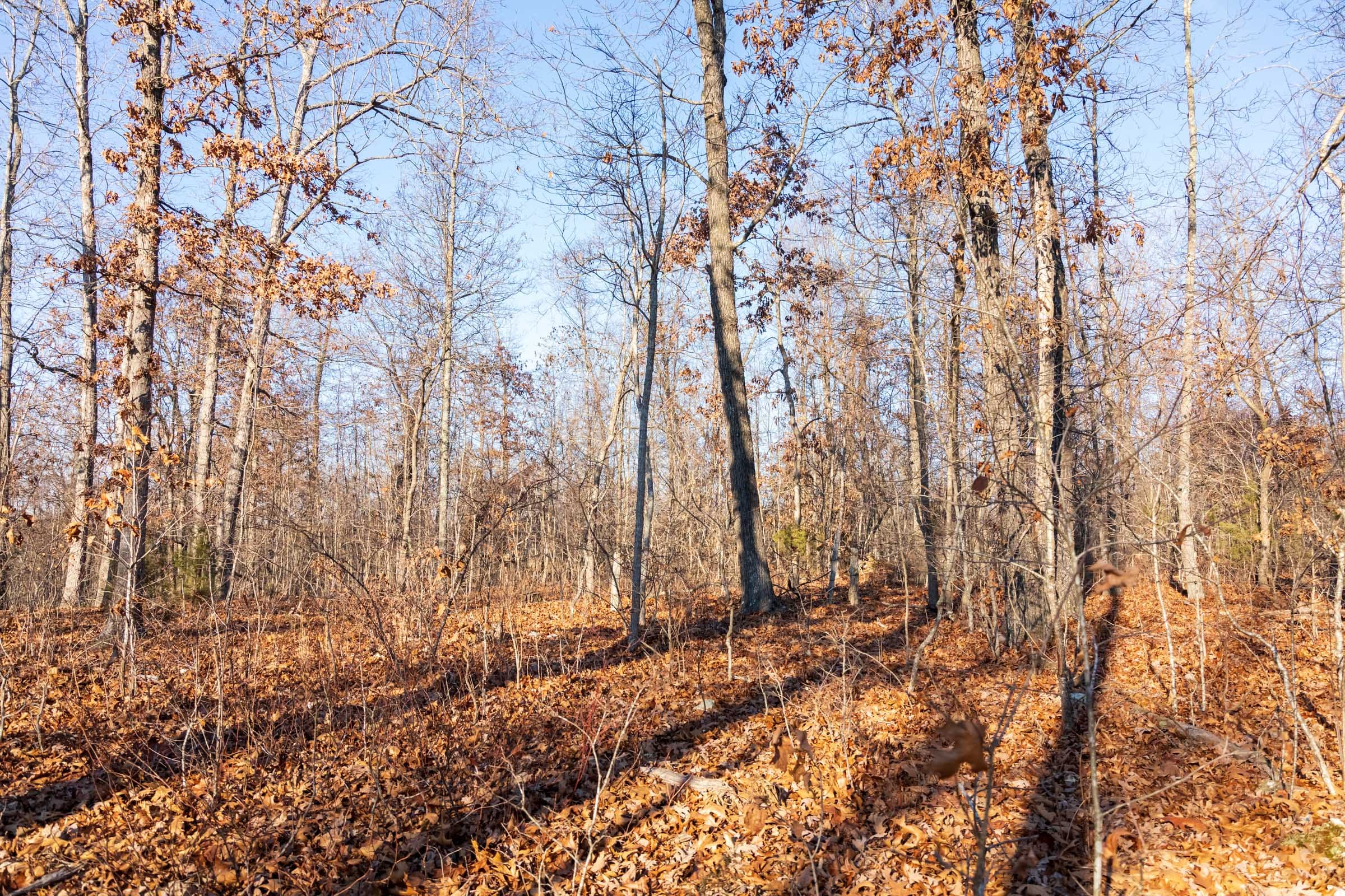 Crossroads Tract 21 photo 3