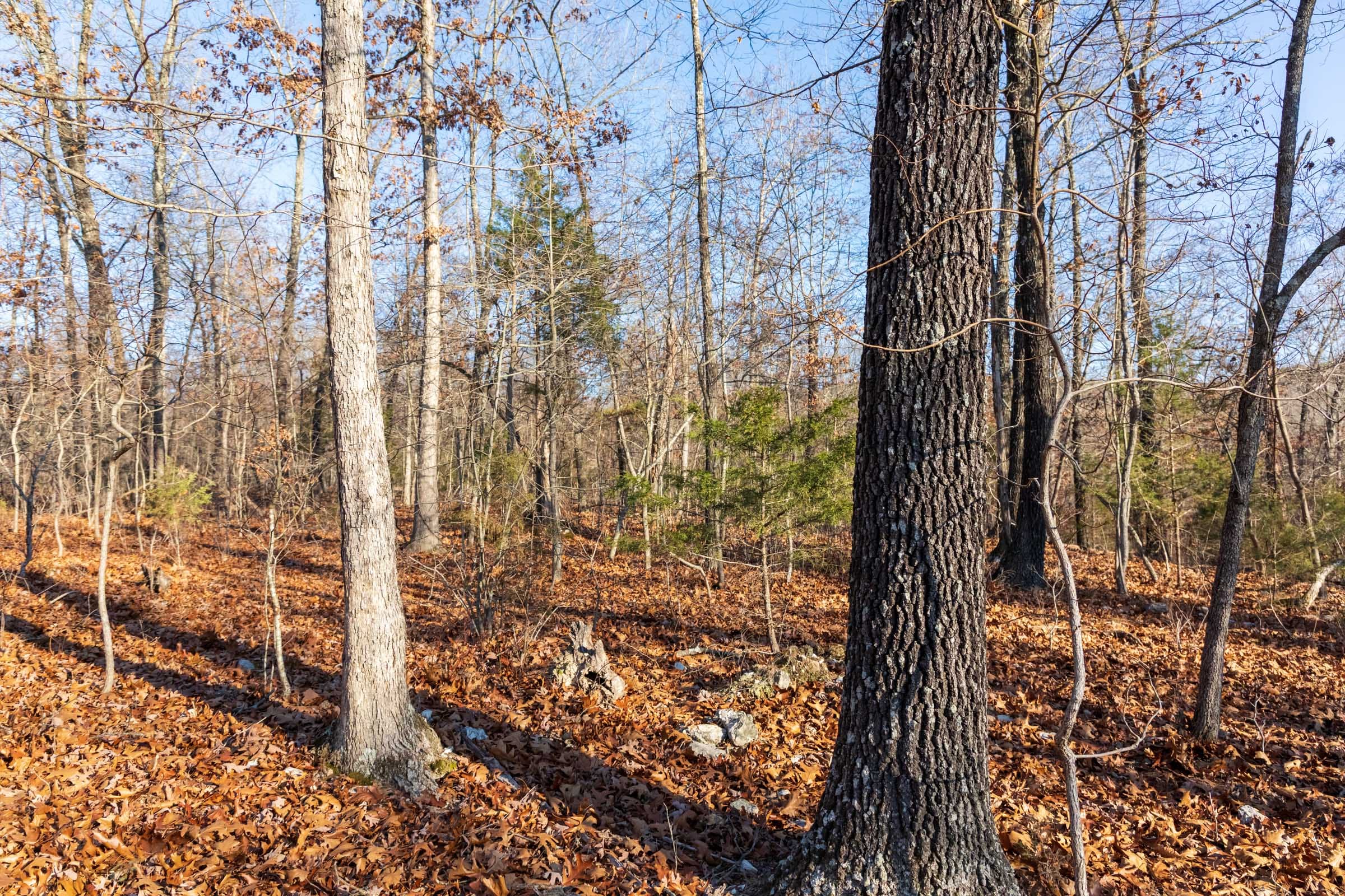 Crossroads Tract 21 photo 4