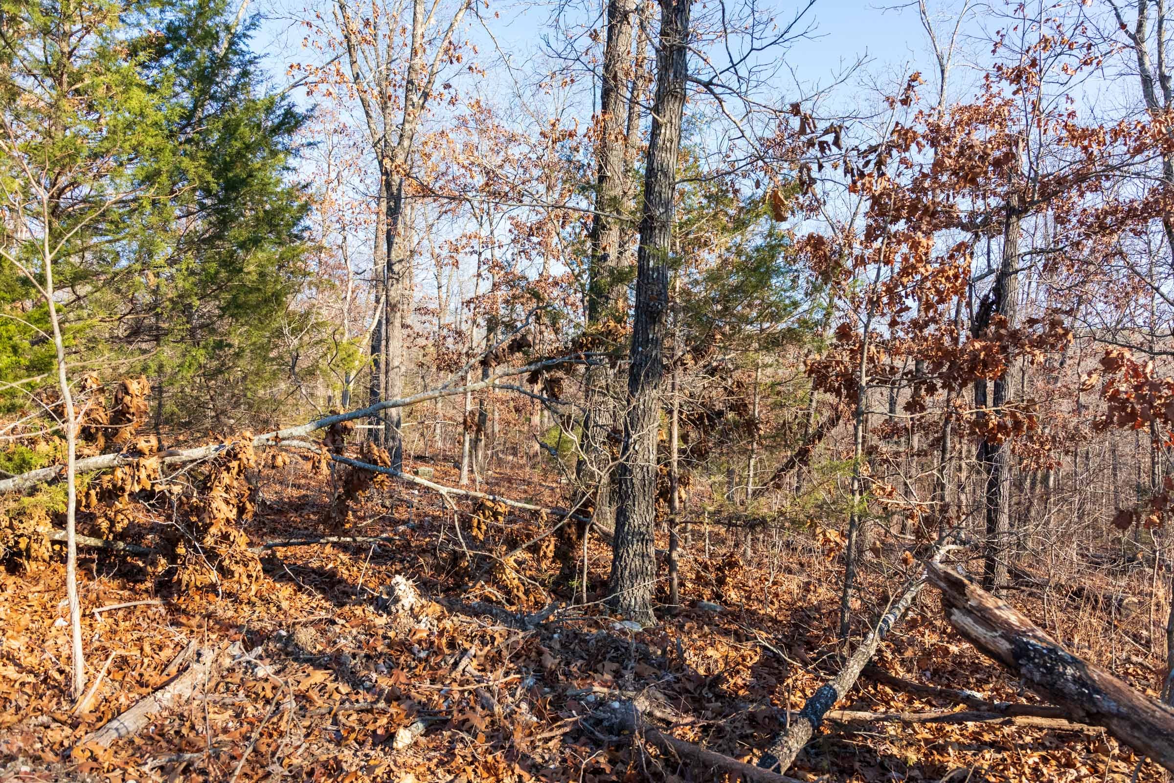 Crossroads Tract 21 photo 5