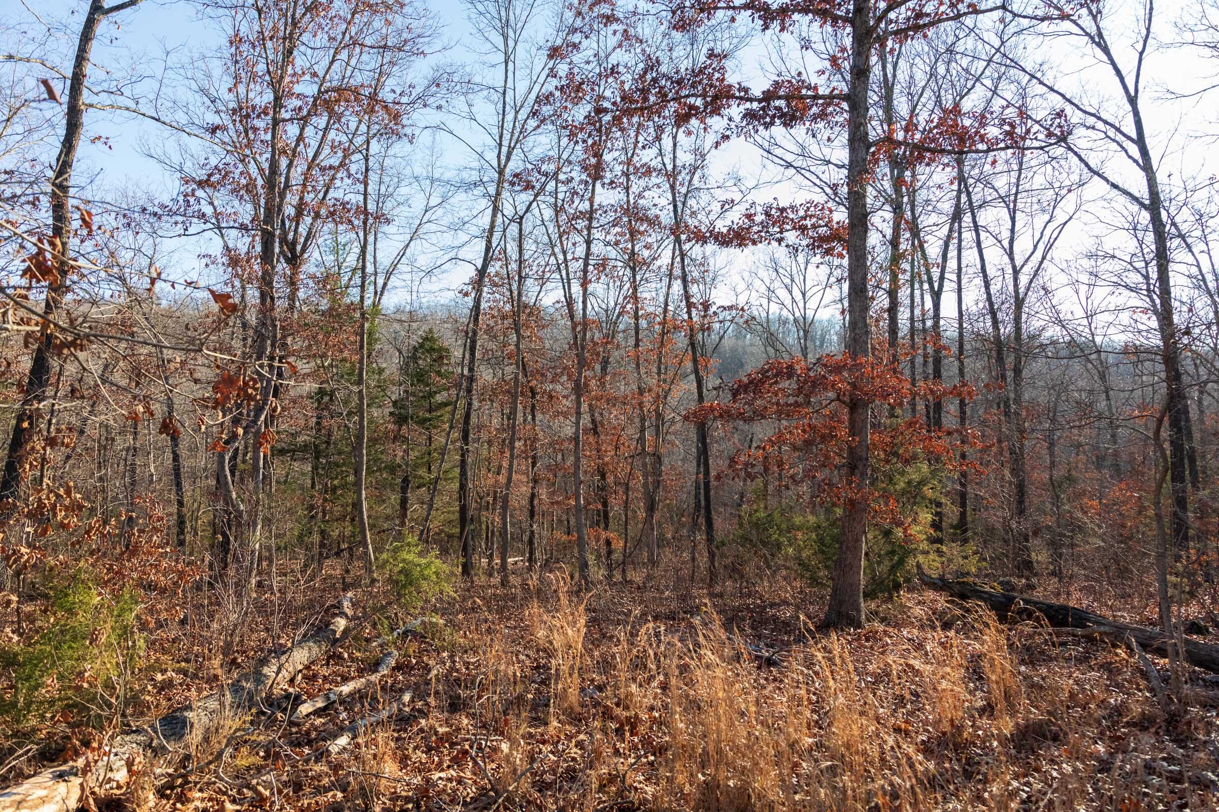 Crossroads Tract 21 photo 6