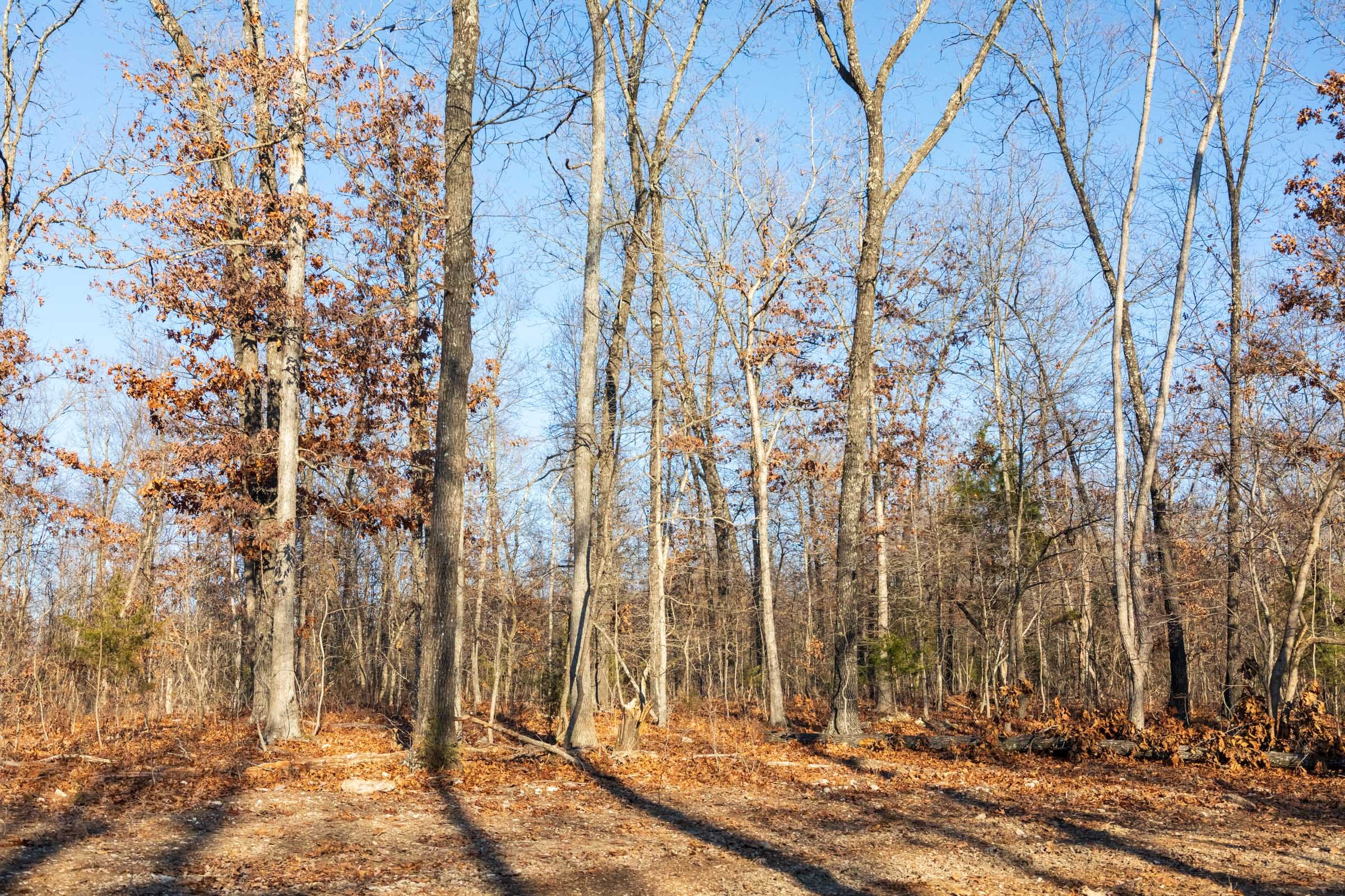 Crossroads Tract 21 photo 7