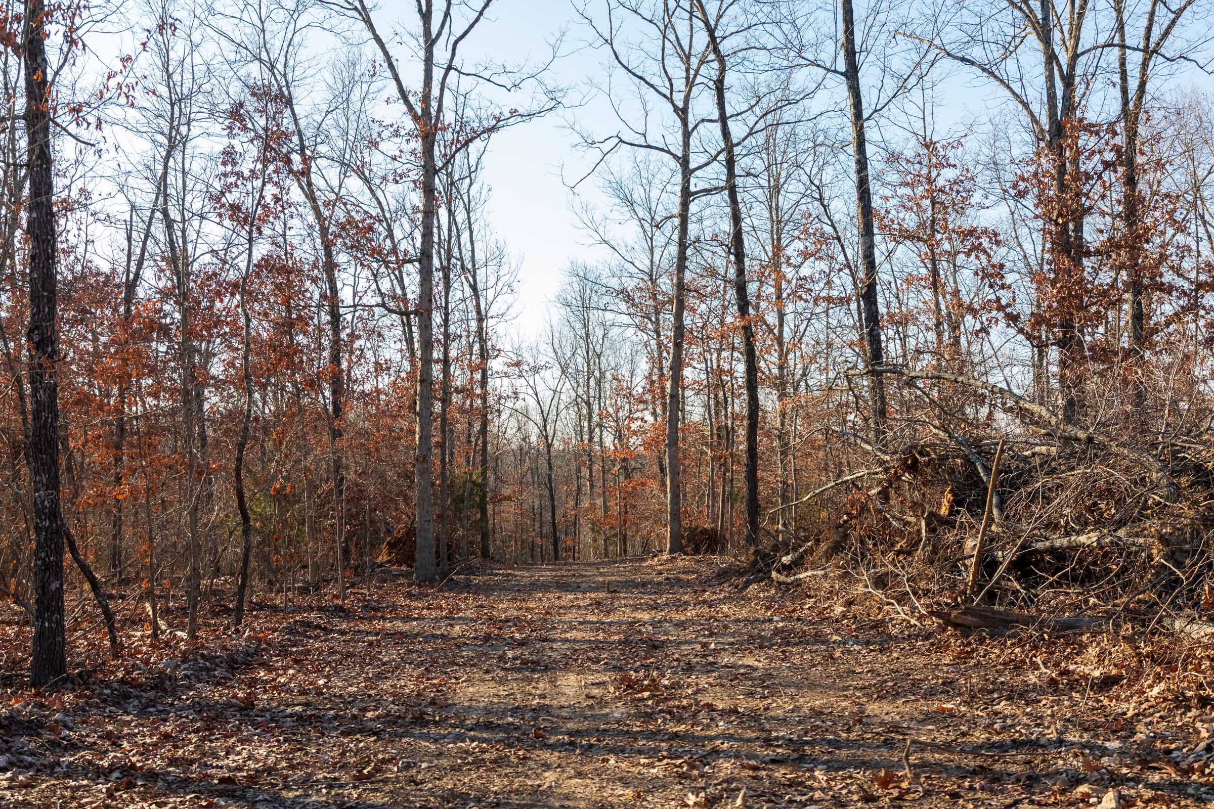Crossroads Tract 21 photo 1