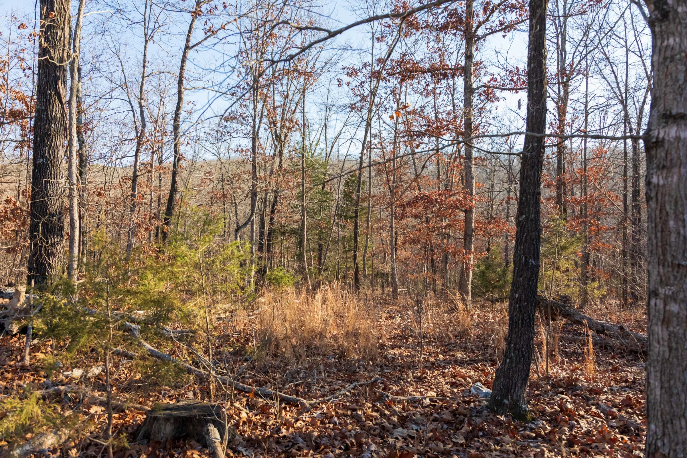 Crossroads Tract 21 photo 9