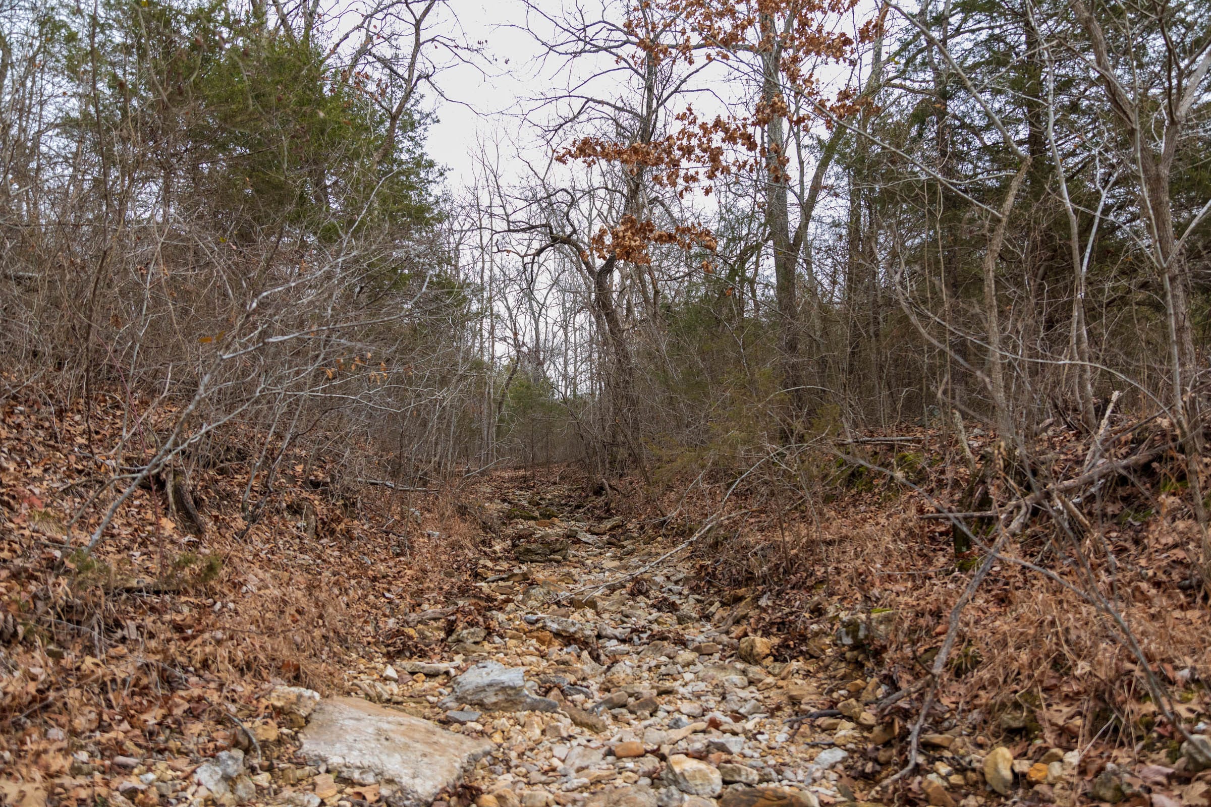 Crossroads Tract 21 photo 10