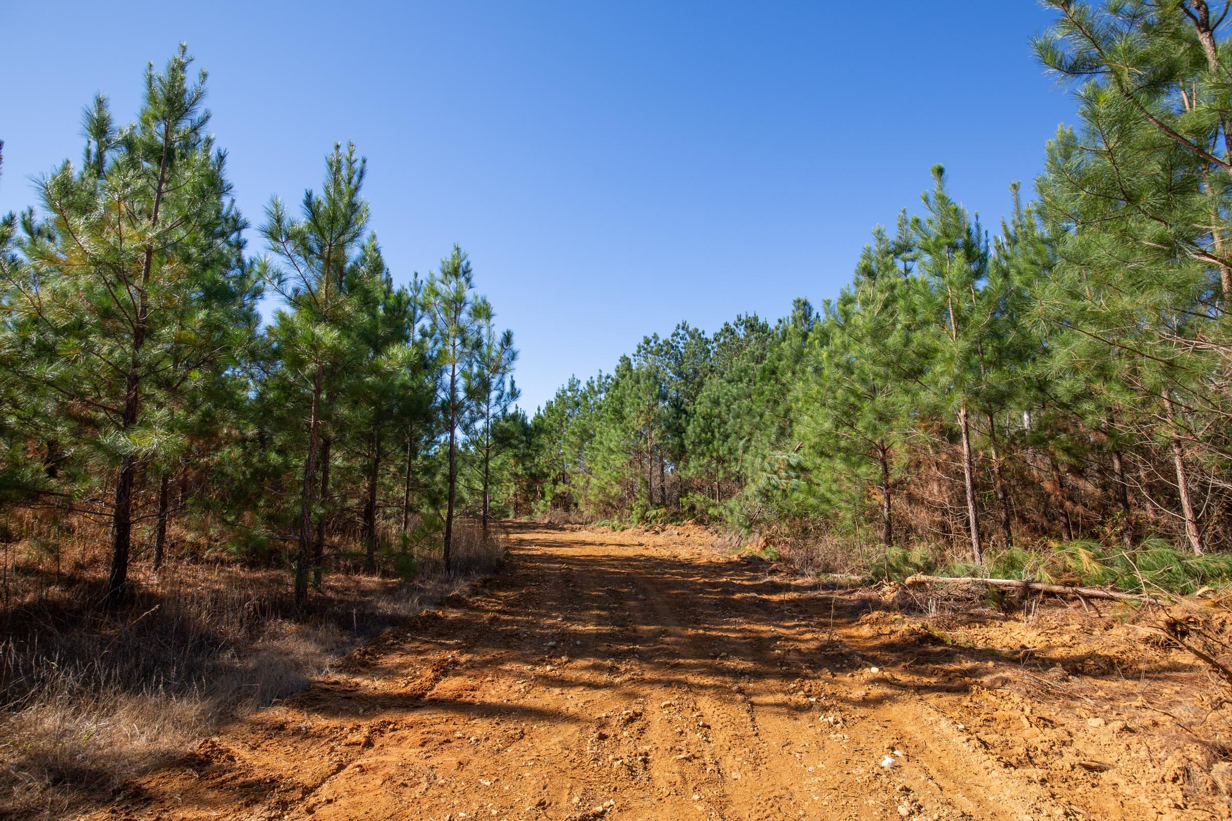 Pine Ridge Tract 5 photo 1