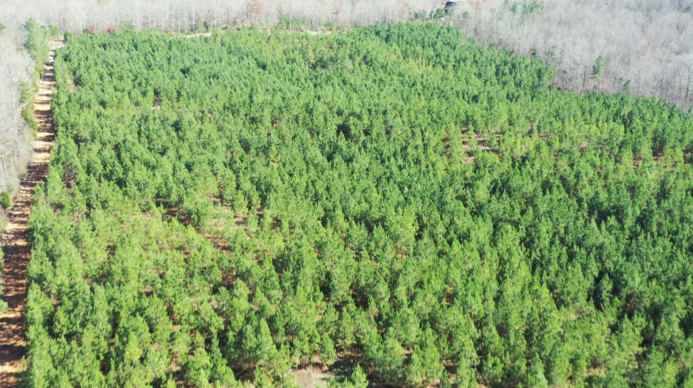 Pine Ridge Tract 5 photo 13