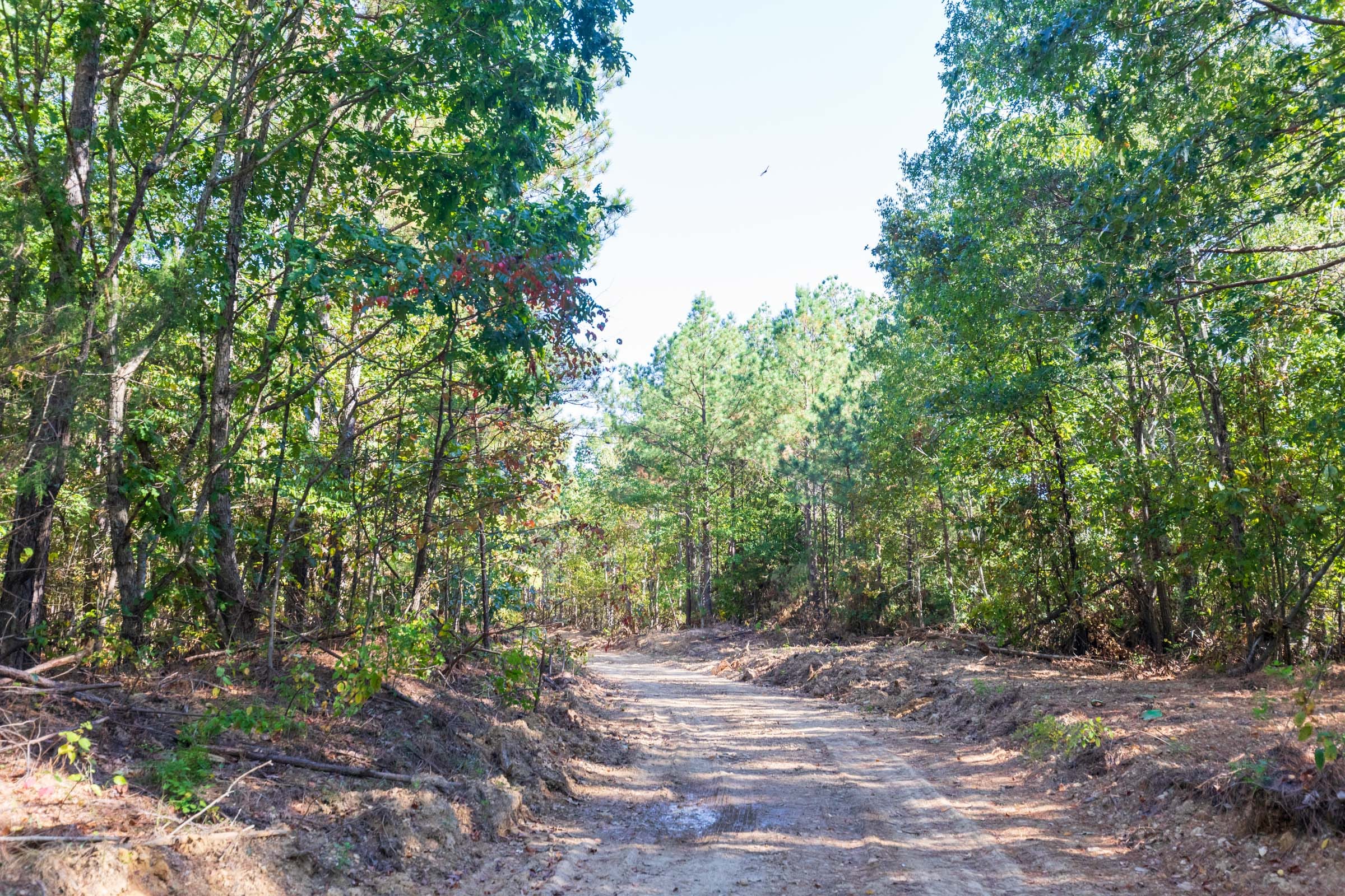 Bear Brook Tract 4 photo 7
