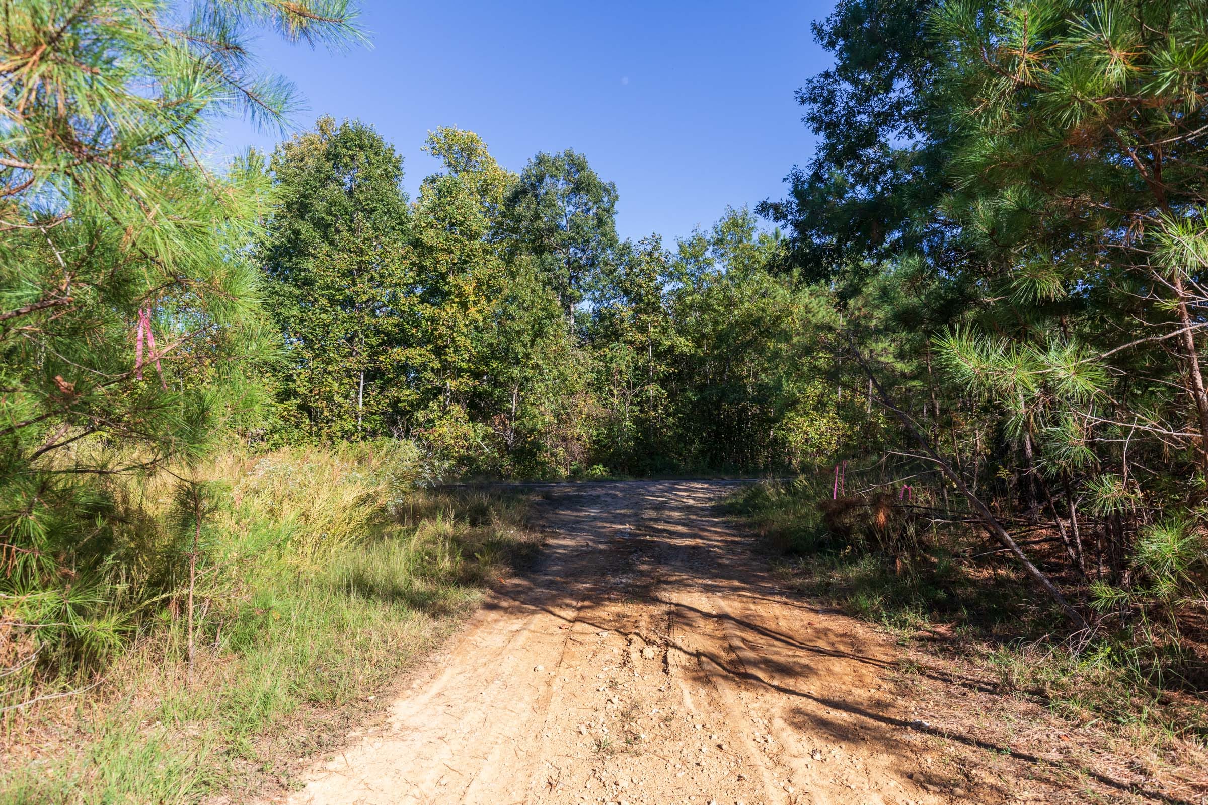 Bear Brook Tract 4 photo 10