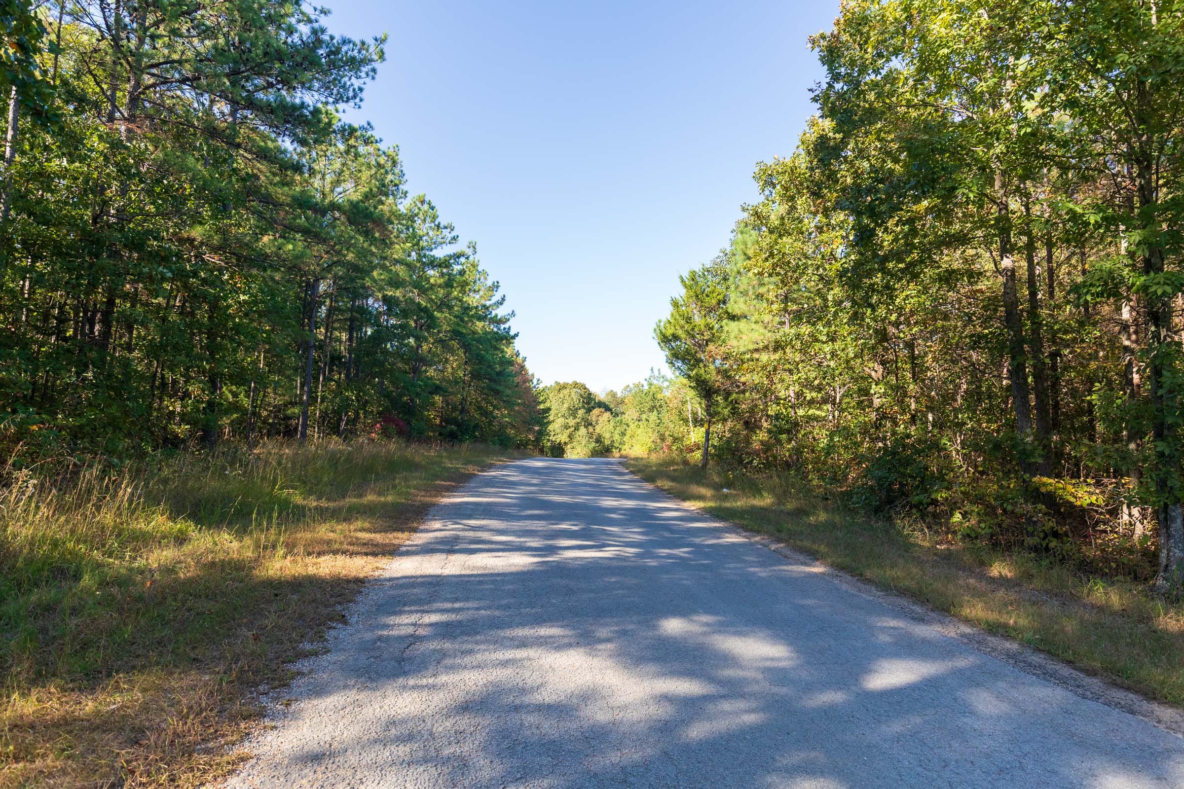 Bear Brook Tract 4 photo 3